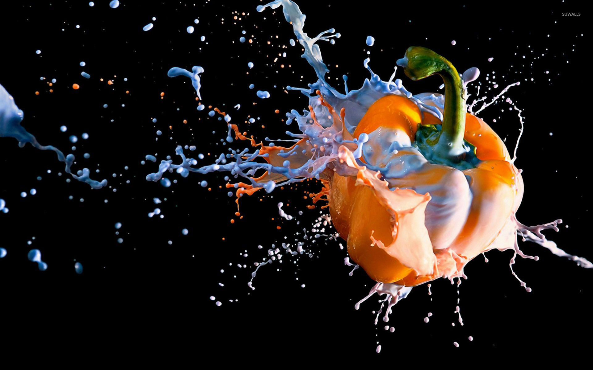 Paint splash on an orange pepper wallpaper wallpaper