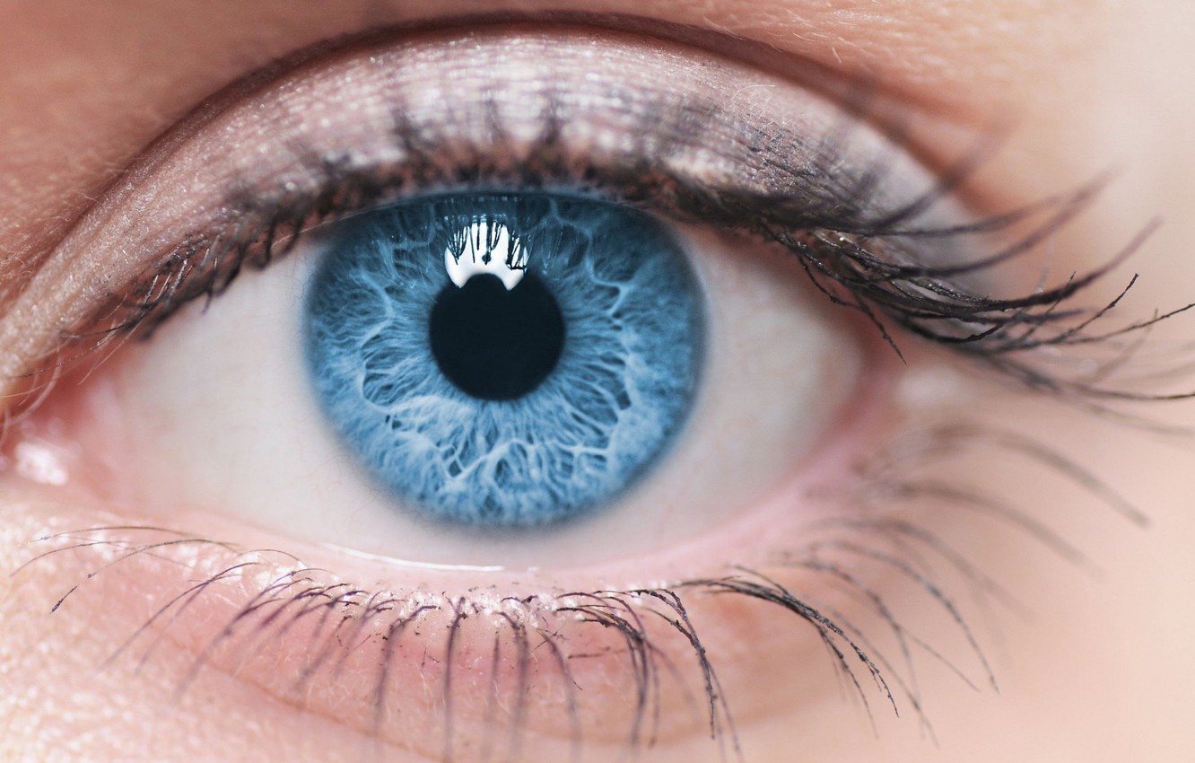 Wallpaper woman, blue, eyes image for desktop, section макро