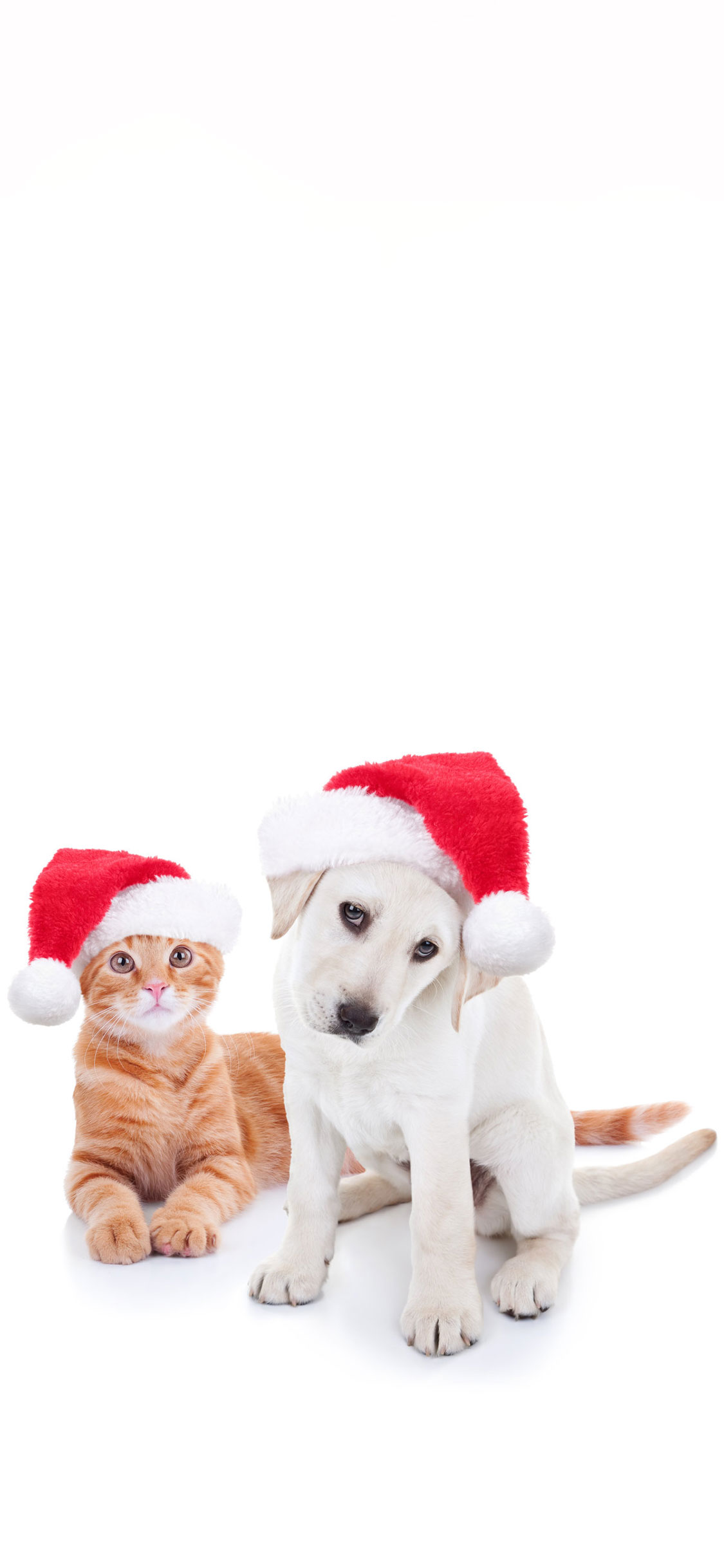 Christmas Wallpaper For IPhone 6 7 8 SE X XS XR 11 12