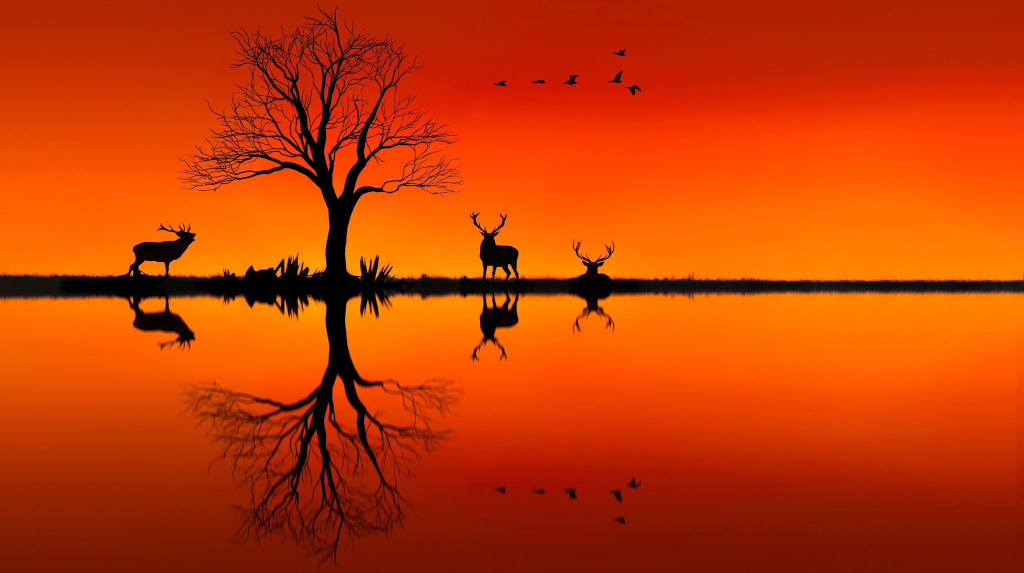 nature, Landscape, Animals, Trees, Sunset, Silhouette, Birds, Photo Manipulation, Deer, Horizon, Reflection, Orange Wallpaper HD / Desktop and Mobile Background