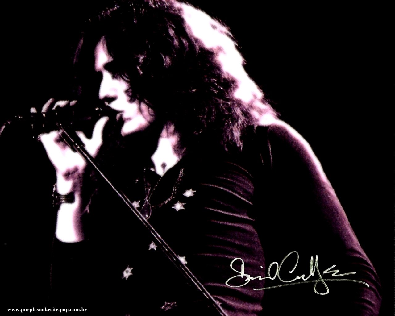 David Coverdale Photo (16 of 66)