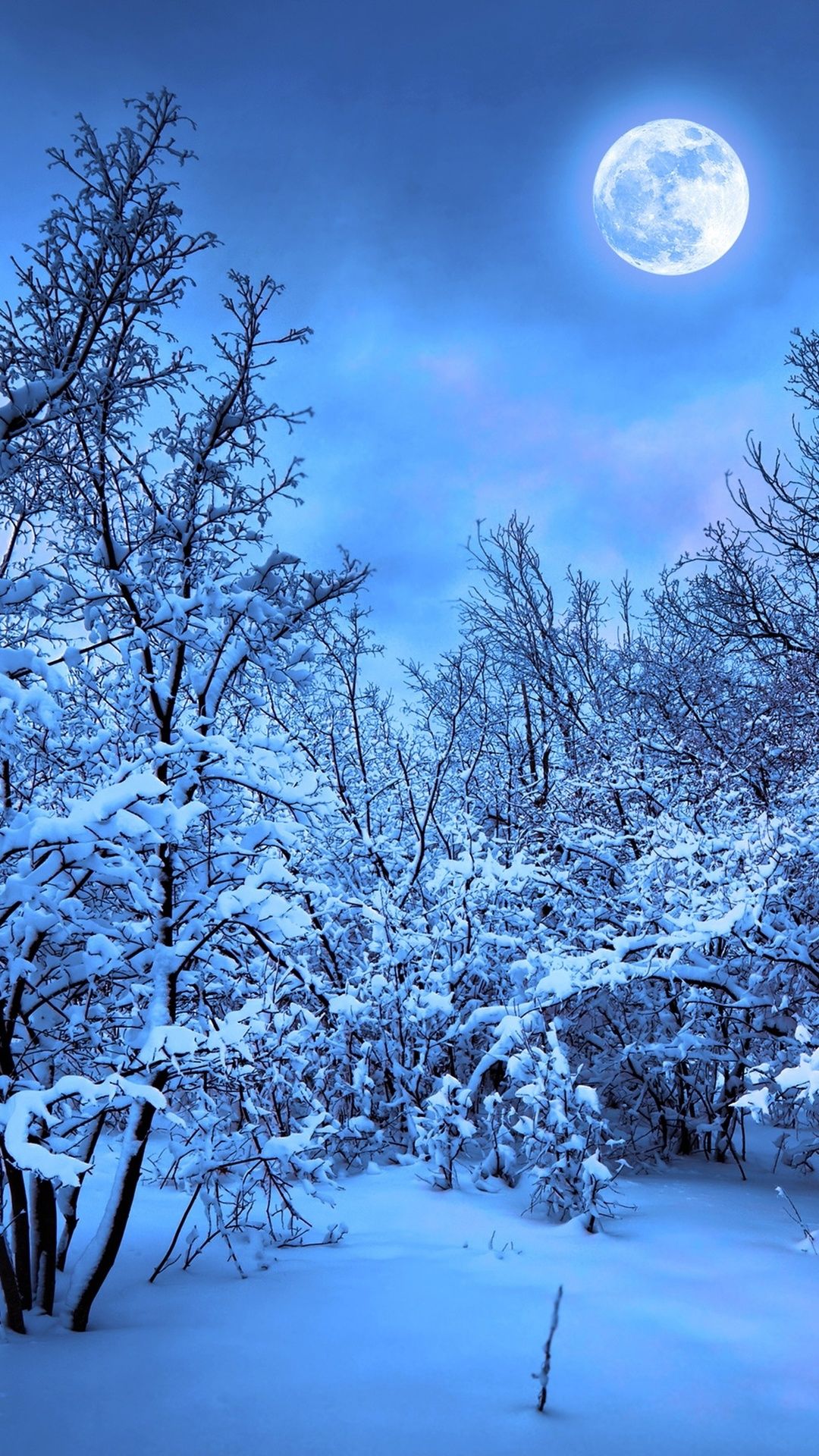 Winter Snow Nature 4k In 1080x1920 Resolution. Snow wallpaper iphone, iPhone wallpaper winter, iPhone 5s wallpaper