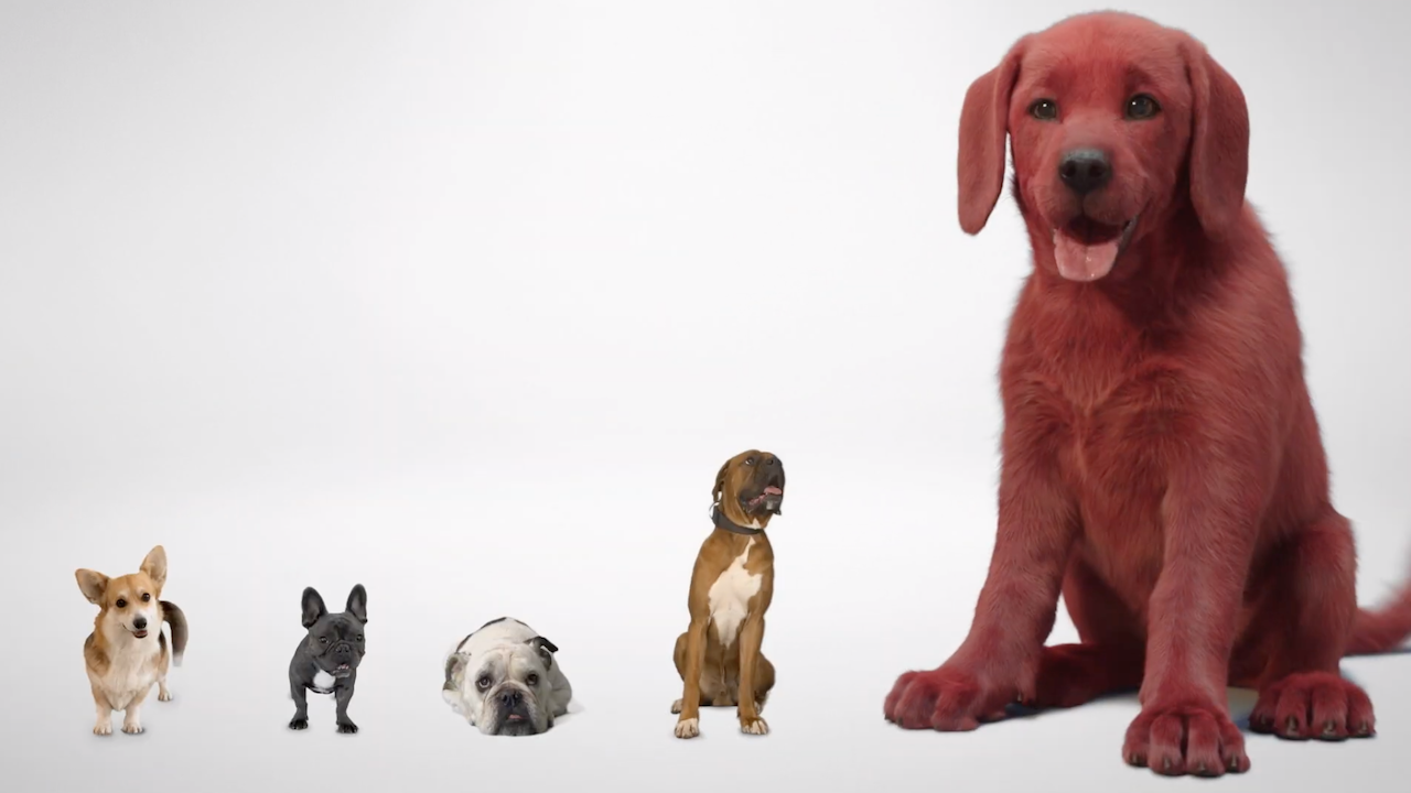 First Look At 'Live Action' Clifford The Big Red Dog Revealed