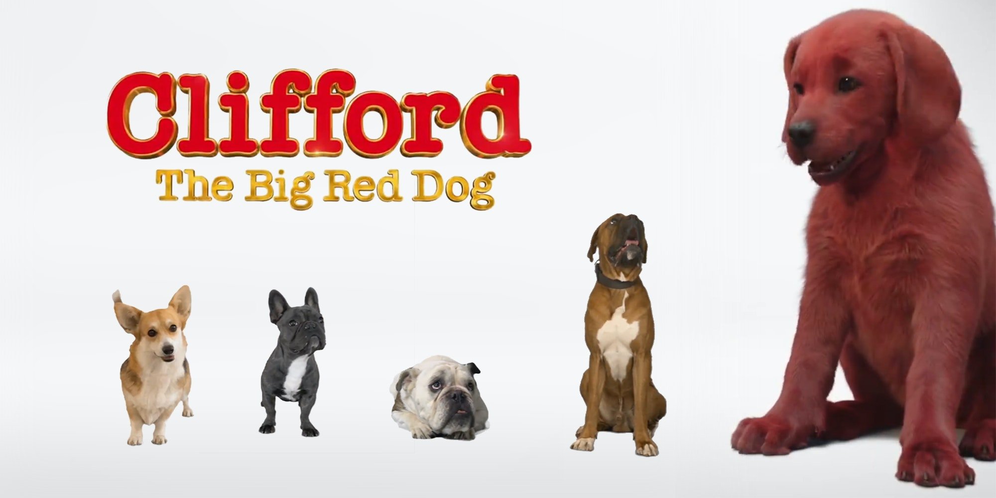 Clifford The Big Red Dog' First Look Has People Horrified