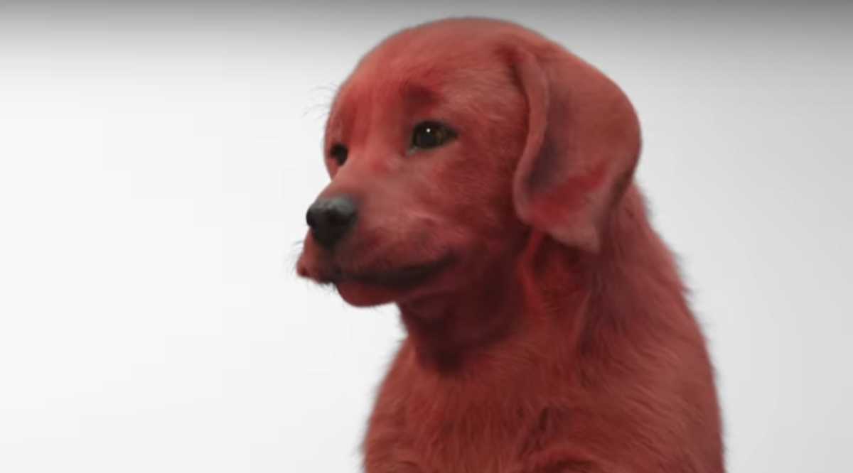 The First Look at the 'Clifford the Big Red Dog' Movie Is Here