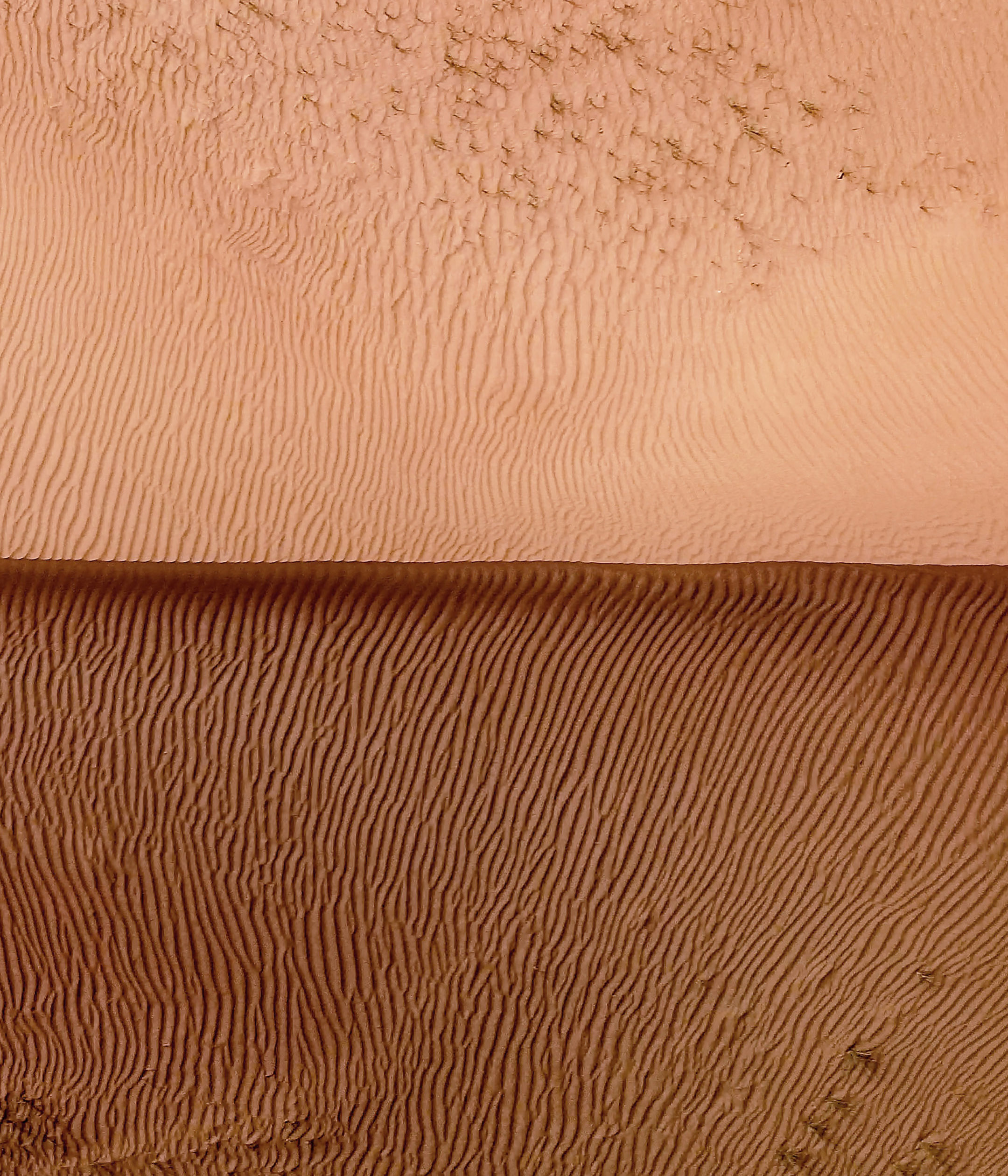 Sony Xperia 5 III wallpaper