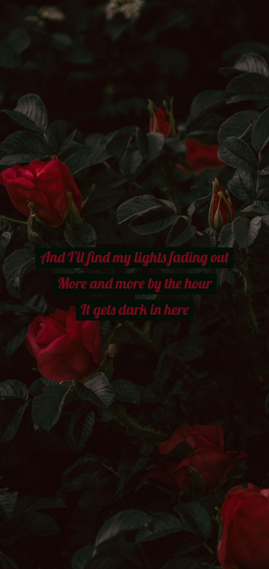 Lewis Capaldi Wallpaper