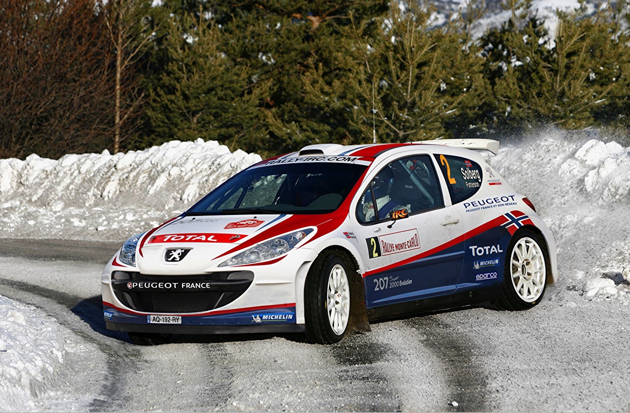 Picture Peugeot 207 sports Snow Cars