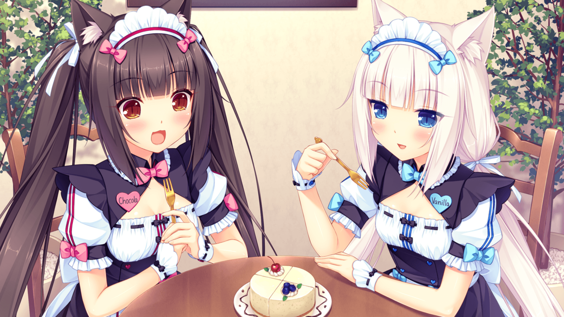 Cat maid HD wallpapers  Pxfuel