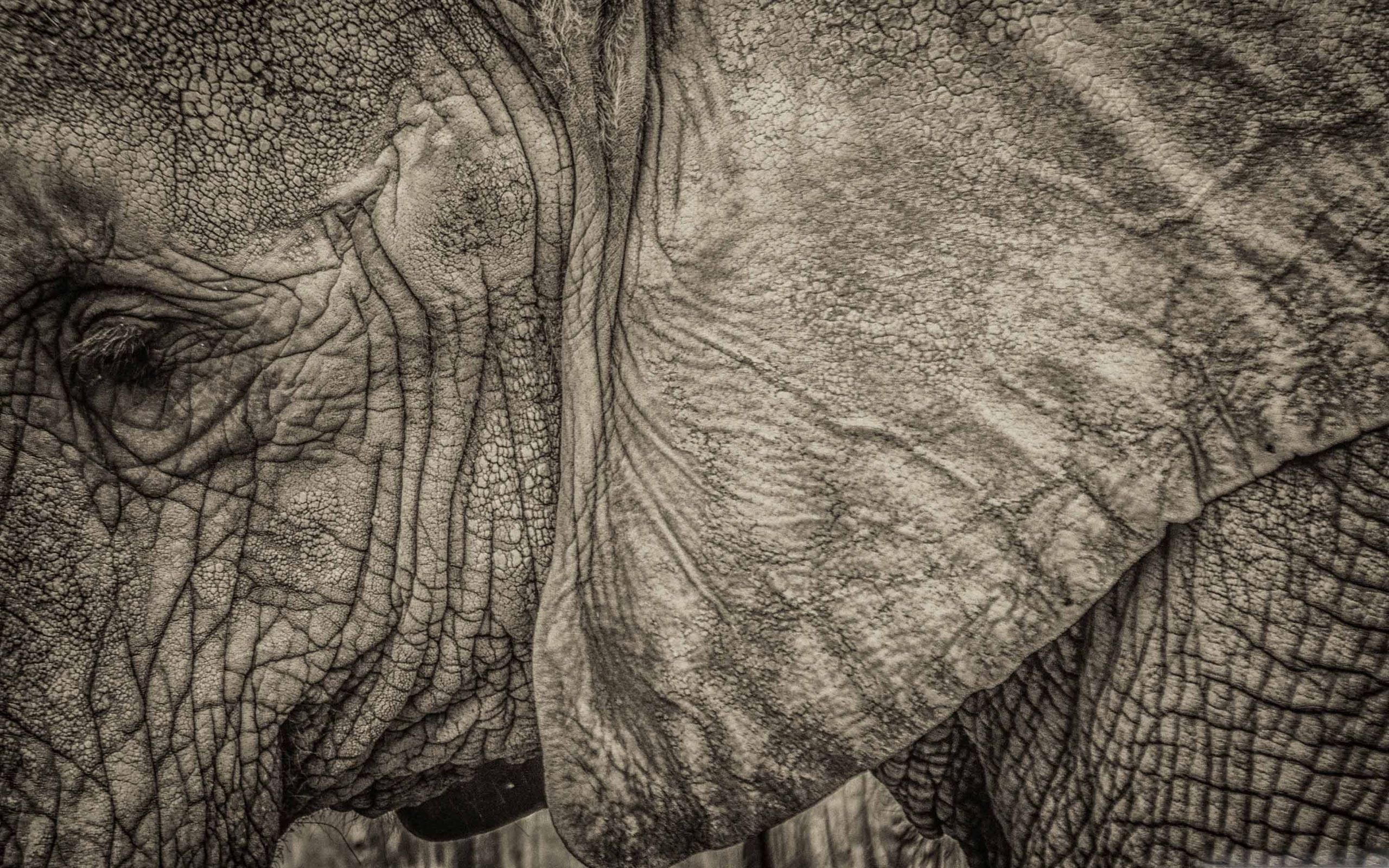 Best Sad Mac Wallpaper Free HD Download