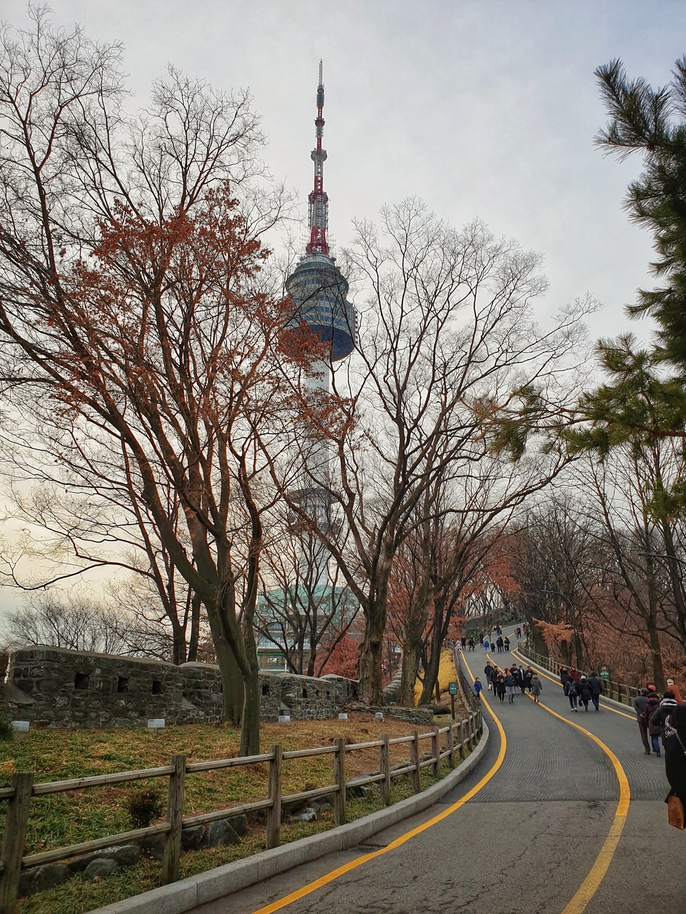 Namsan Tower Picture. Download Free Image