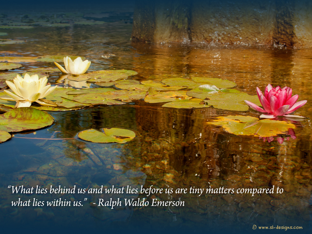 Life quotes on wallpaper