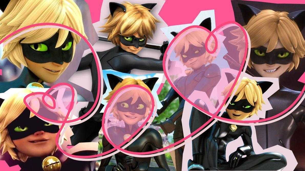 Cat Noir Wallpaper Desktop