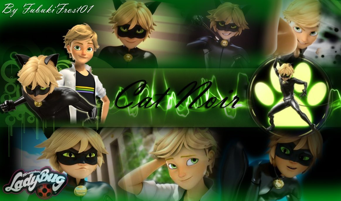 Miraculous Tales of Ladybug And Cat Noir HD Desktop Wallpaper 83507