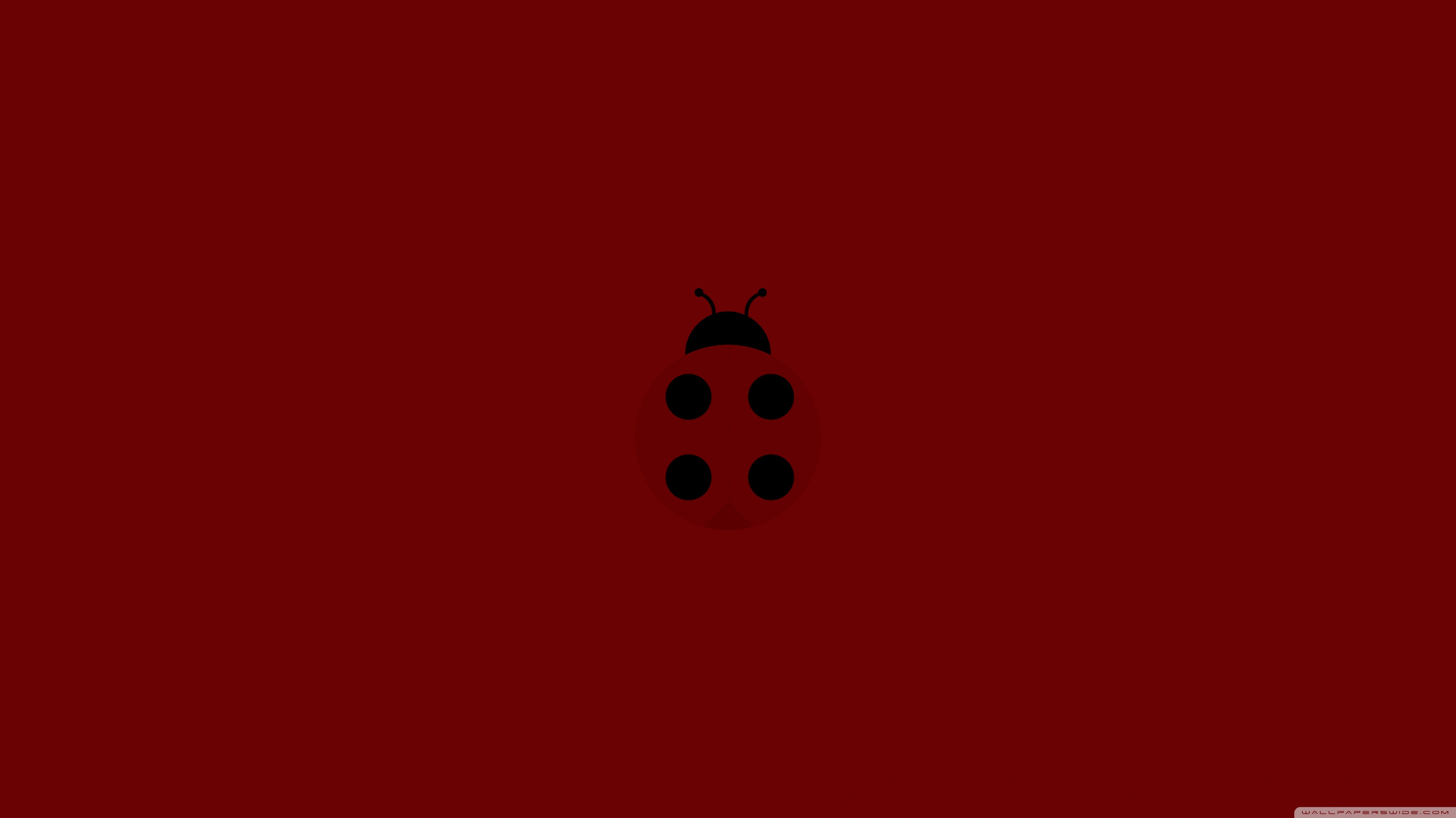 LadyBug Ultra HD Desktop Background Wallpaper for: Multi Display, Dual Monitor, Tablet