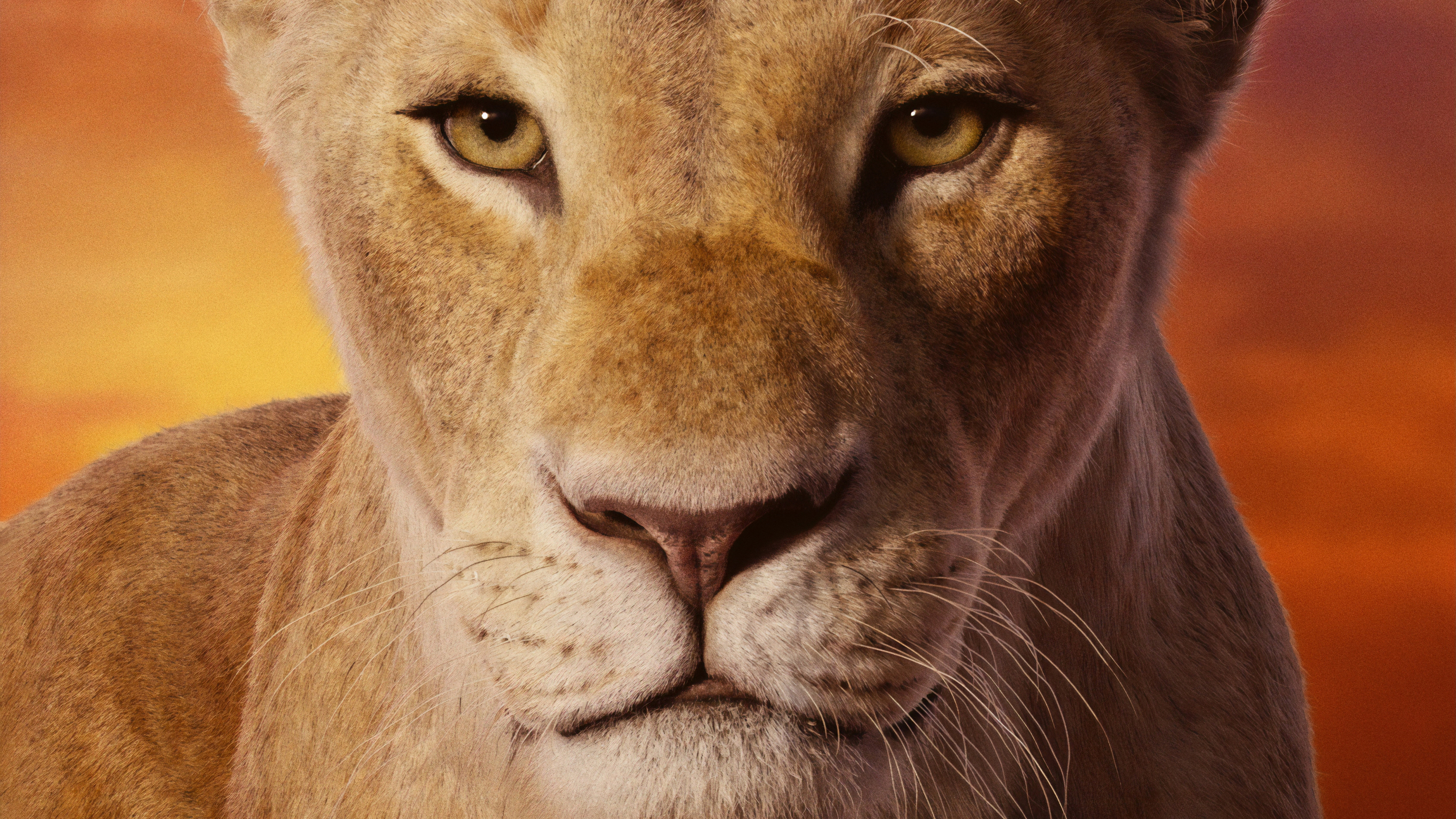 Beyonce As Nala The Lion King 2019 4k, HD Movies, 4k Wallpaper, Image, Background, Photo and Picture