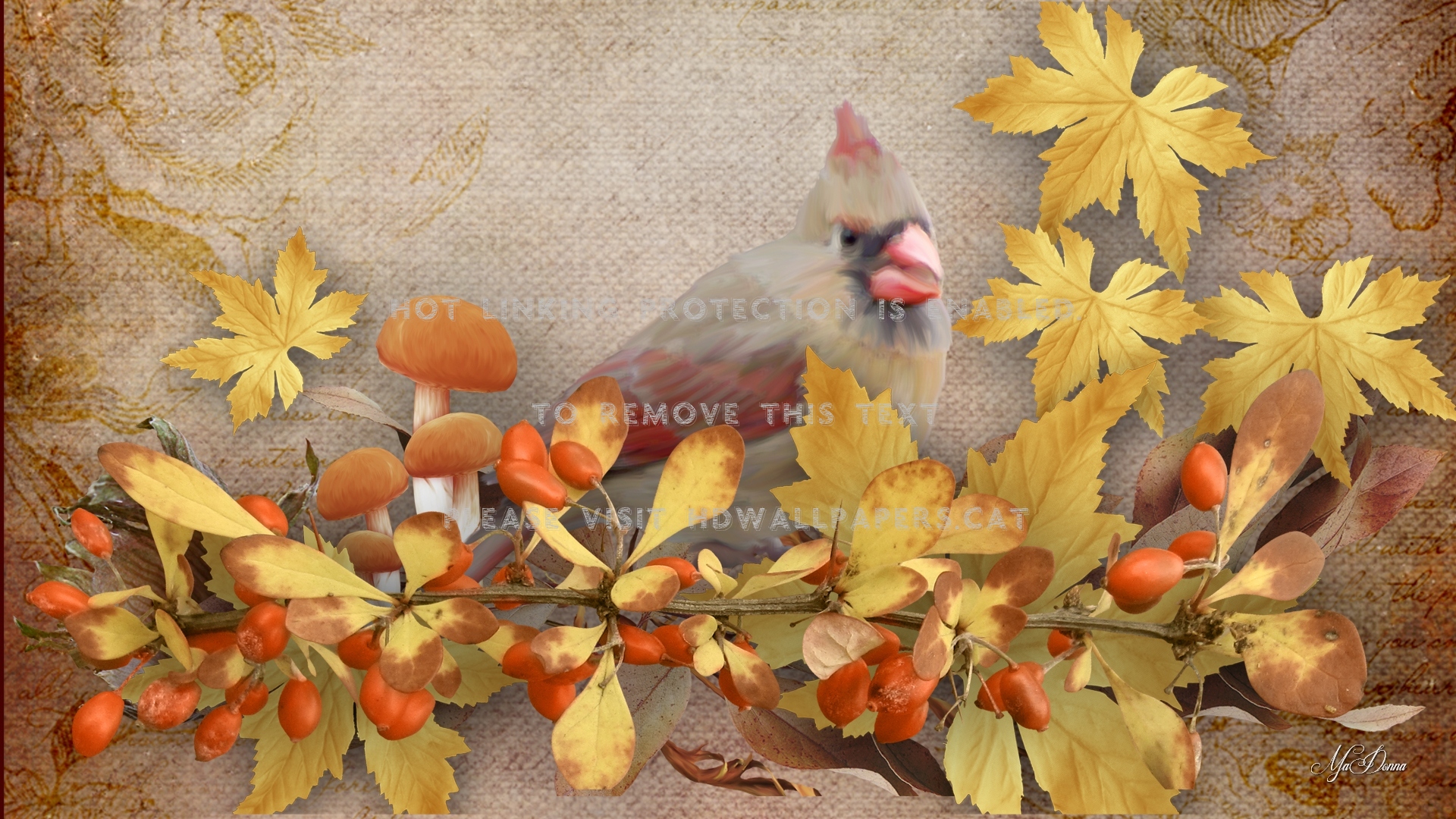 autumn bird and leaves toadstools mushrooms