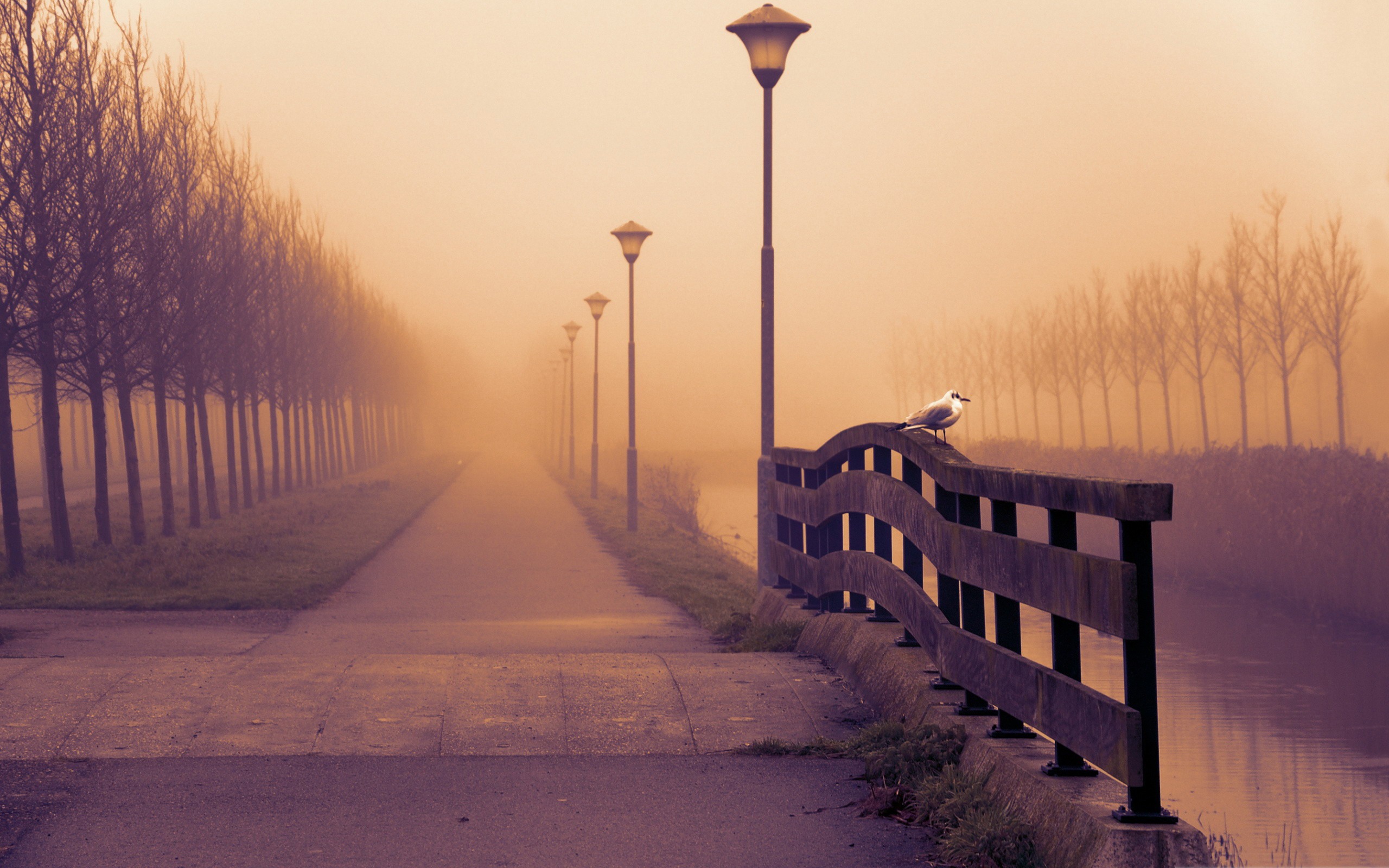 Foggy Autumn Mornings Wallpapers - Wallpaper Cave