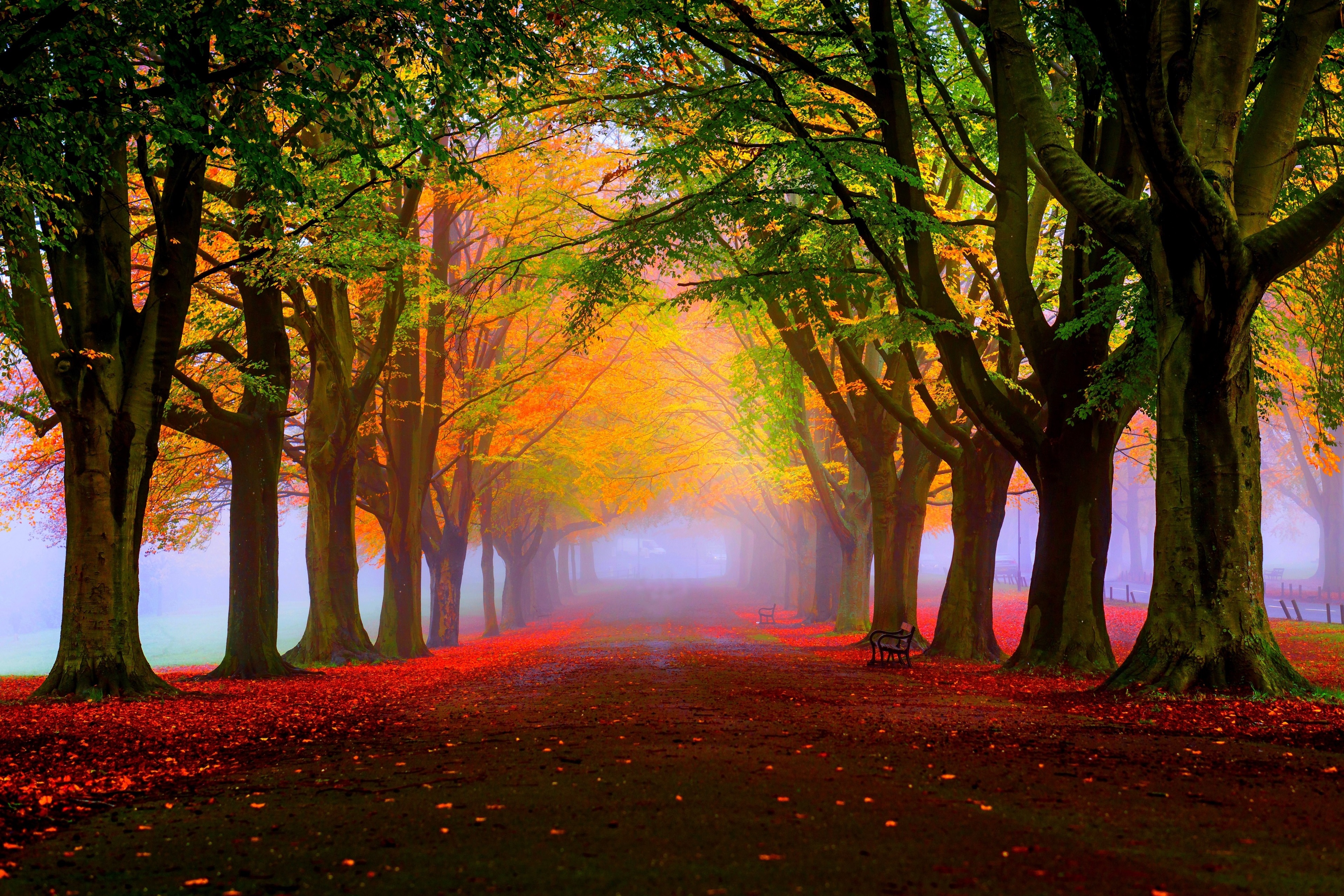 3840x2560 autumn 4k full screen wallpaper for desktop. Mocah HD Wallpaper