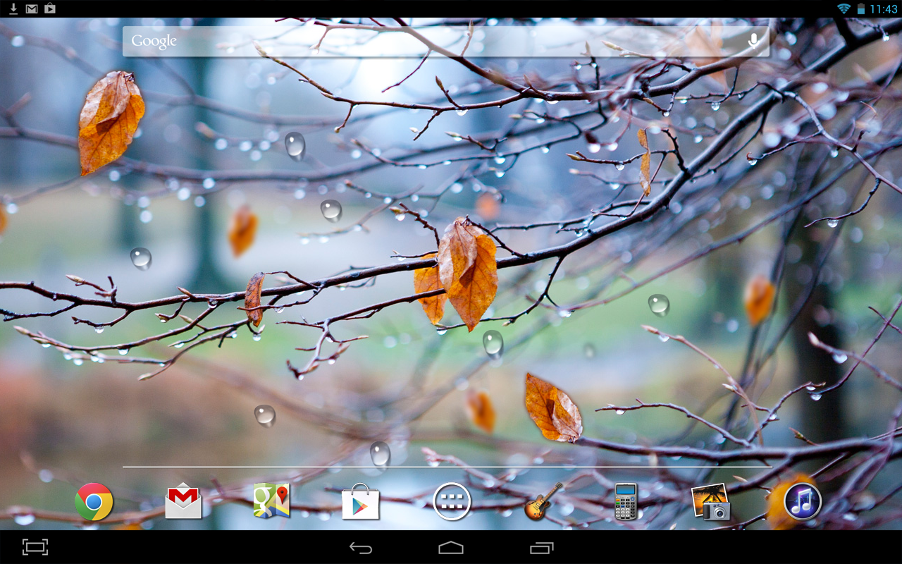 Rain live wallpaper. Живые обои осень дождь. Падающие листья живые обои. Живые обои листопад. Живые обои на планшет осень.