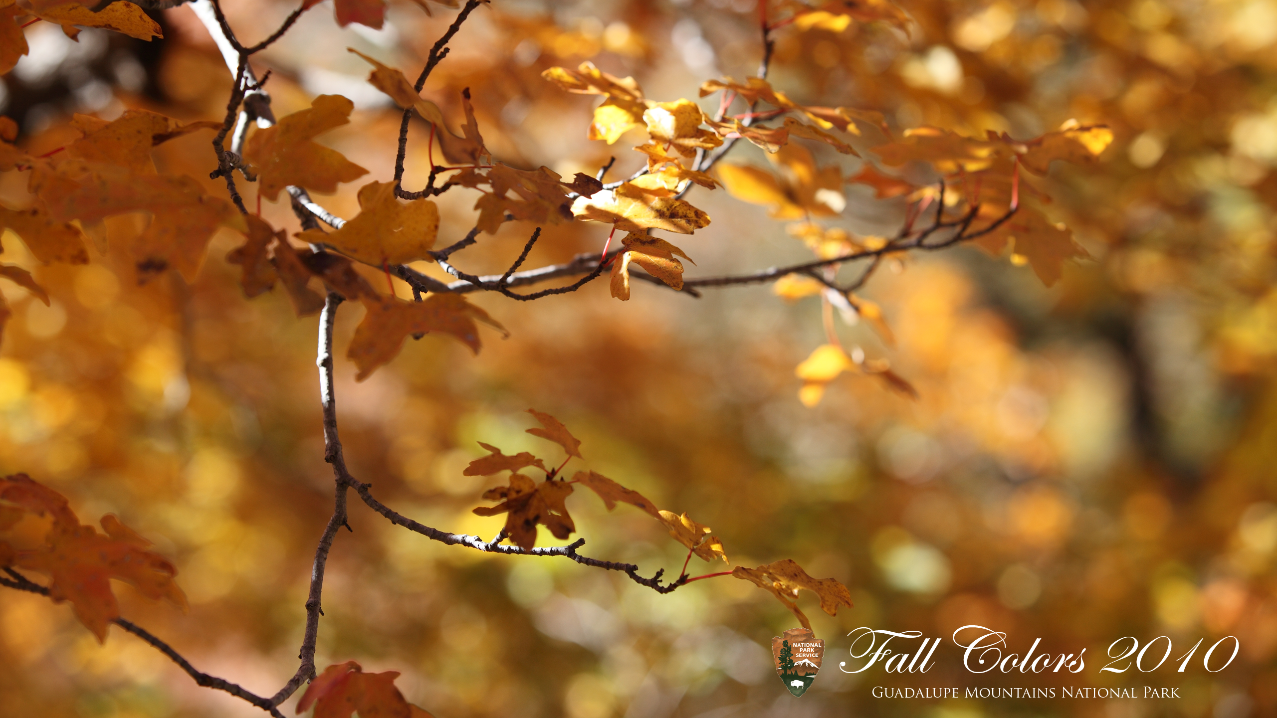 Hd 4k Wallpaper For Macbook Air