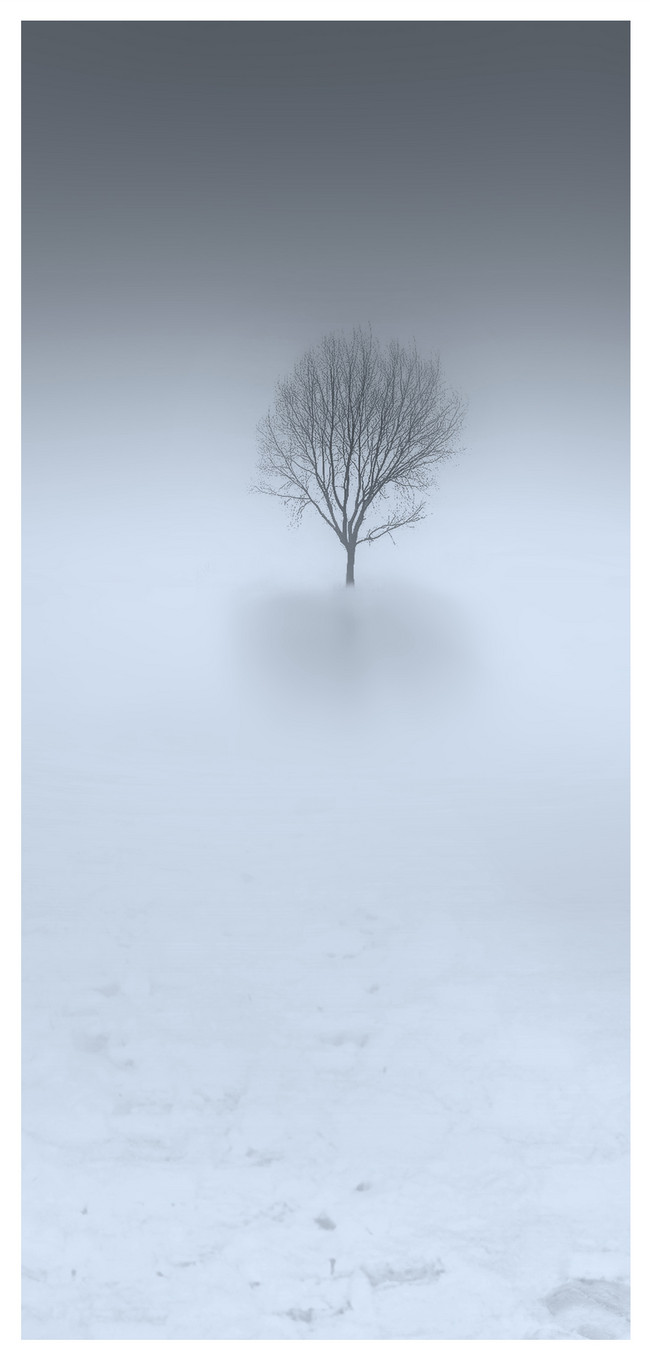 Minimalist Mobile Phone Wallpaper wallpaper background image free download