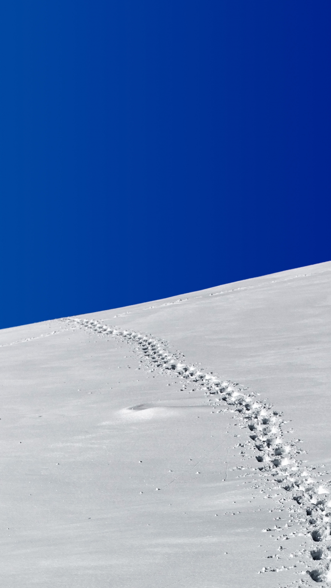 Winter Minimalism iPhone Wallpaper