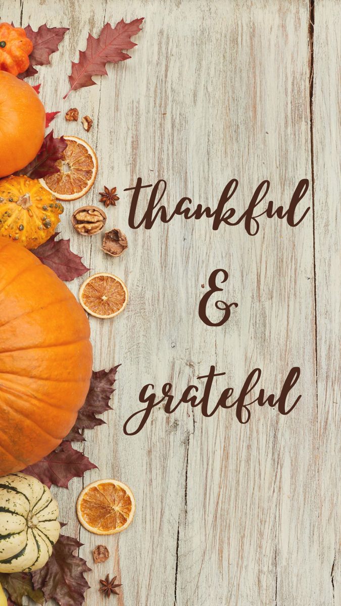 Thankful & Grateful. Thanksgiving iphone wallpaper, Cute fall wallpaper, Thanksgiving wallpaper