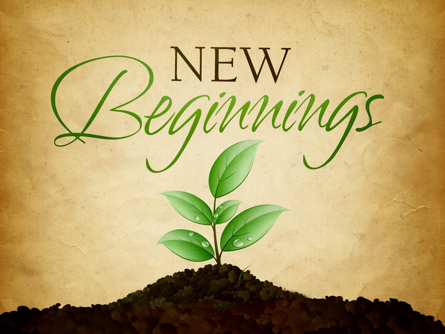 A New Start Concept of a New Beginning