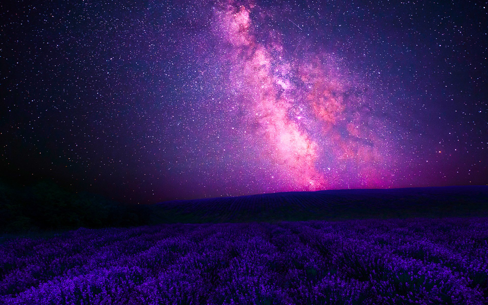 Pink Galaxy over Lavender Field HD Wallpaper