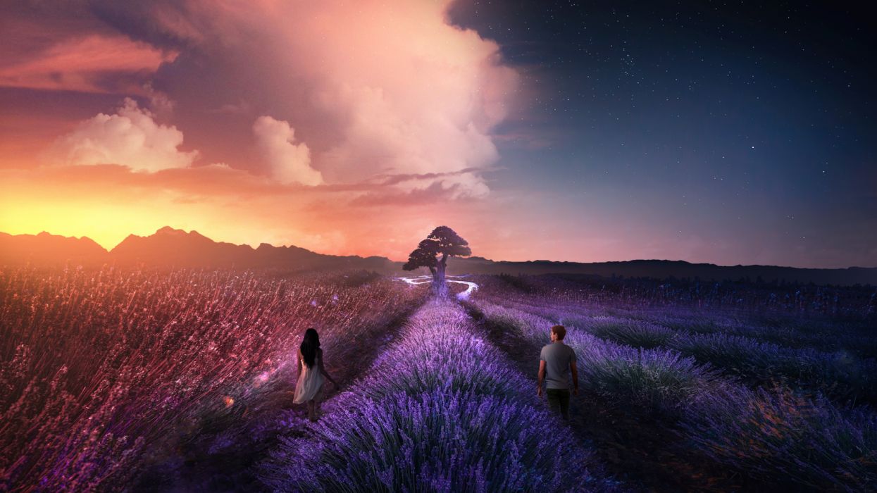 Couple Fantasy Field Lavender Love Man Night Woman wallpaperx1440