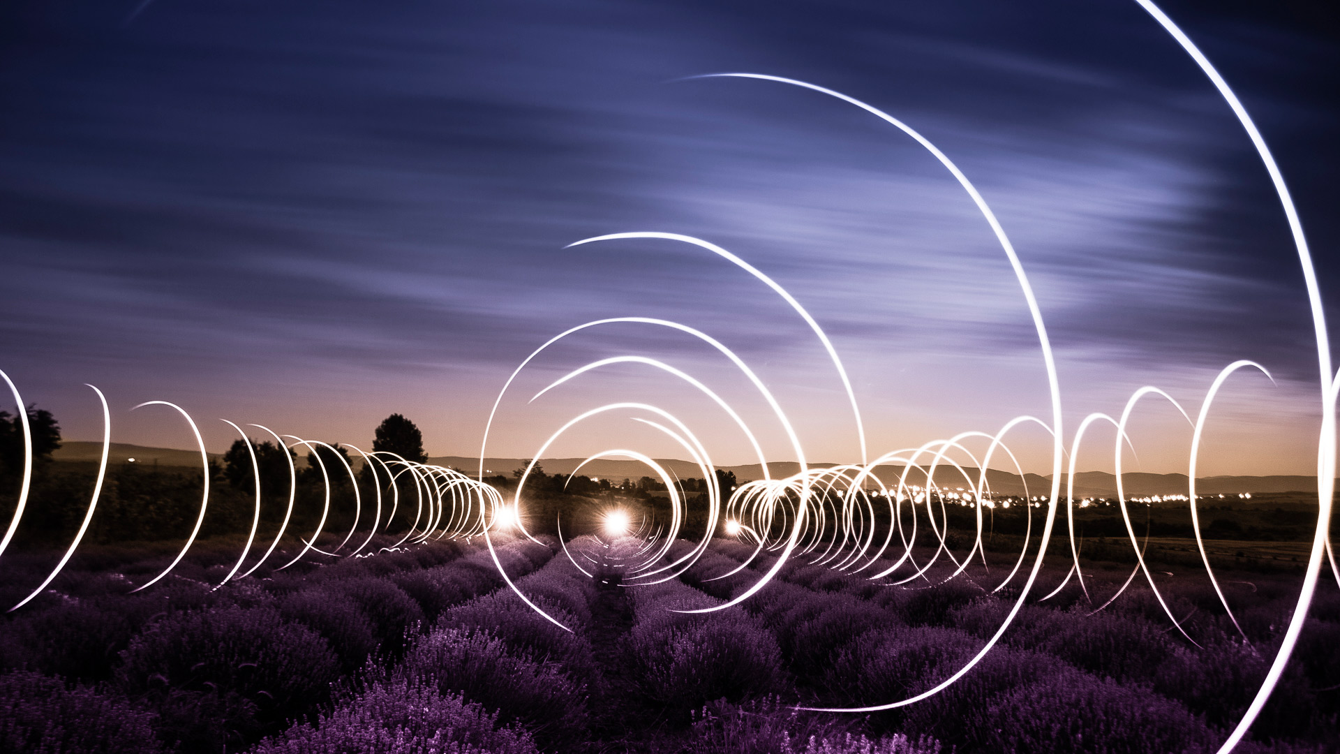 Light painting on lavender field at night, near Shumen, Bulgaria. Windows 10 Spotlight Image