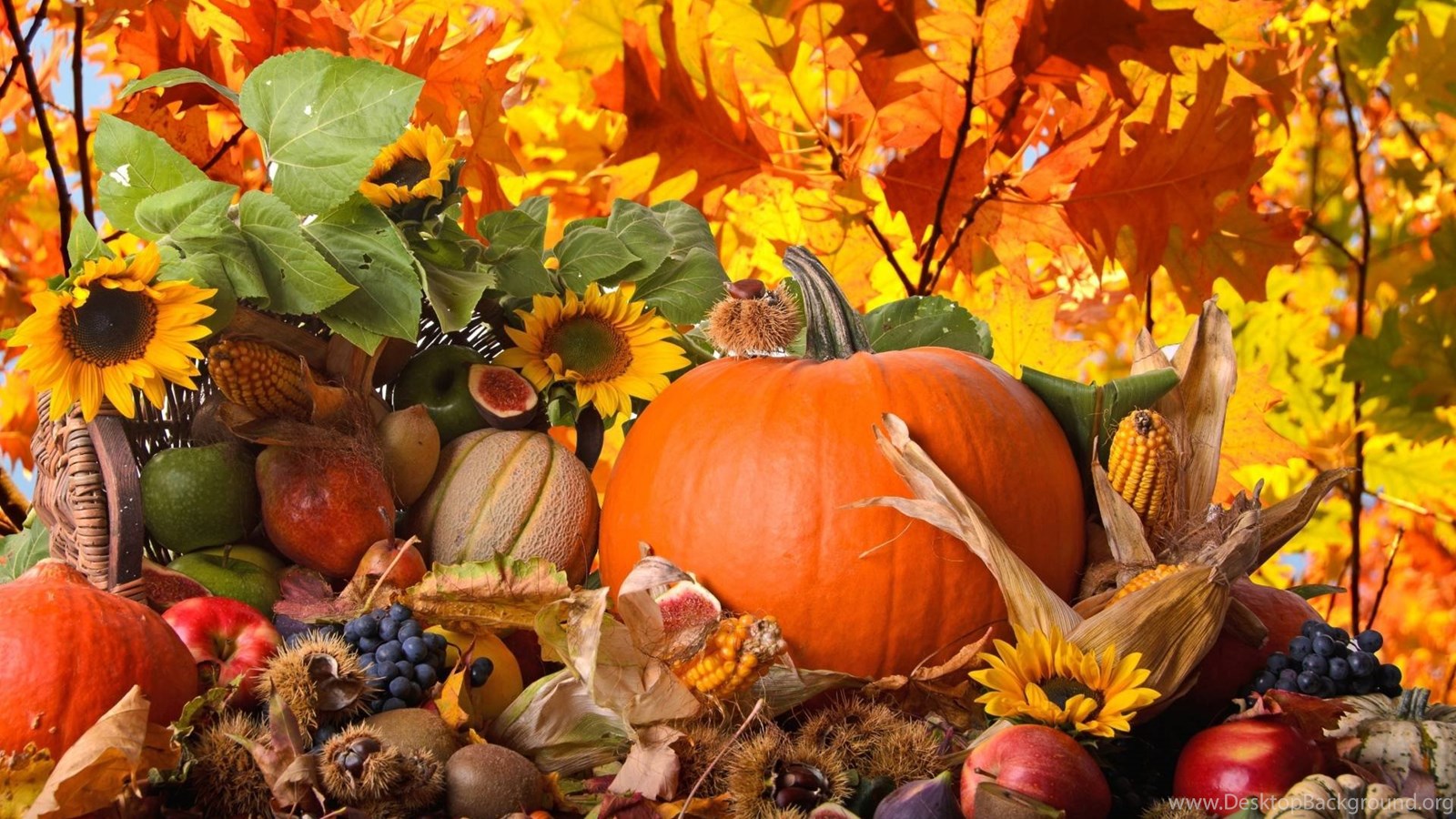 Fall Thanksgiving Wallpaper Desktop Background