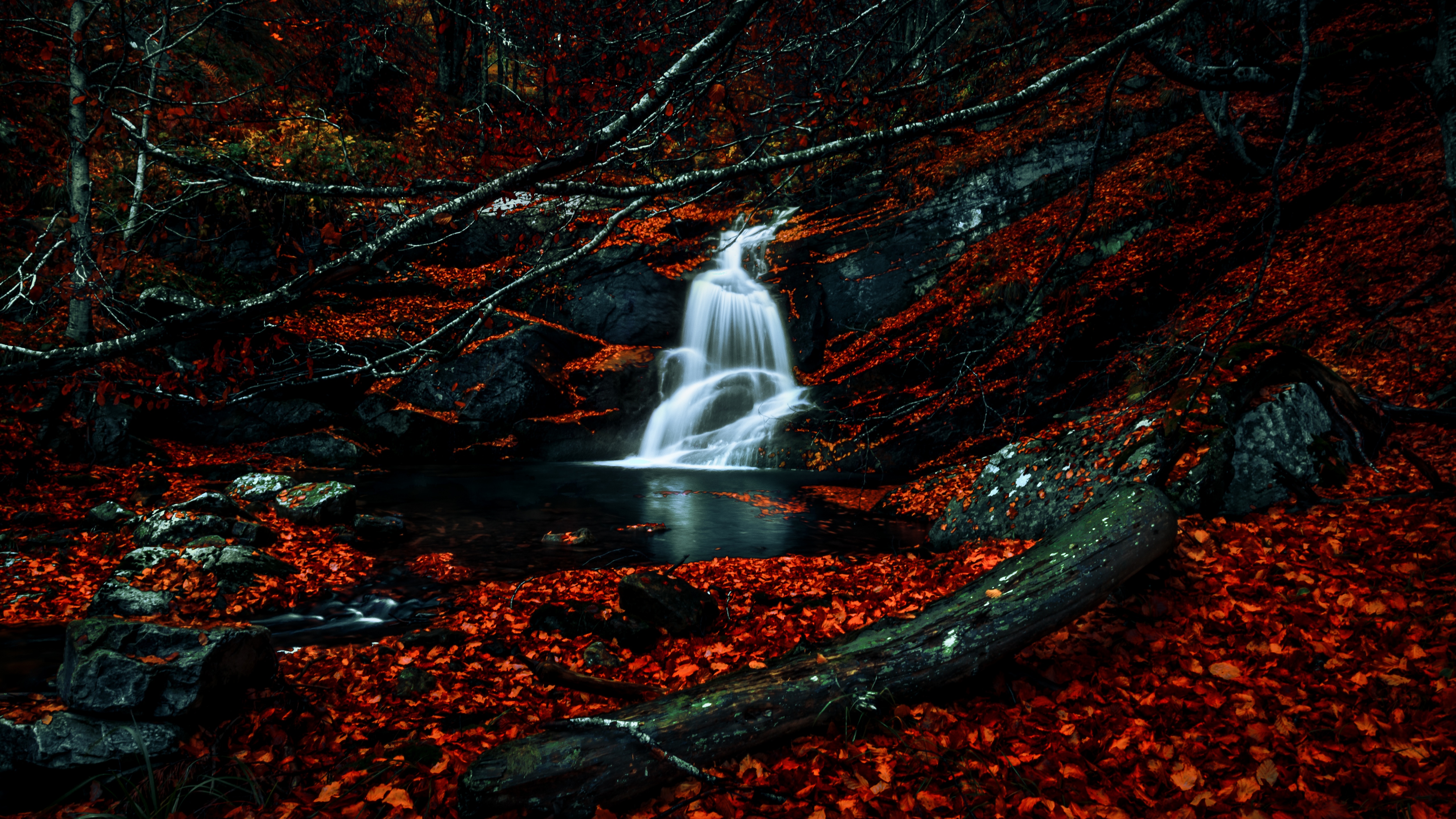 Waterfalls Wallpaper 4K, Autumn, Dark Forest, Foliage, Woods, Red leaves, Nature