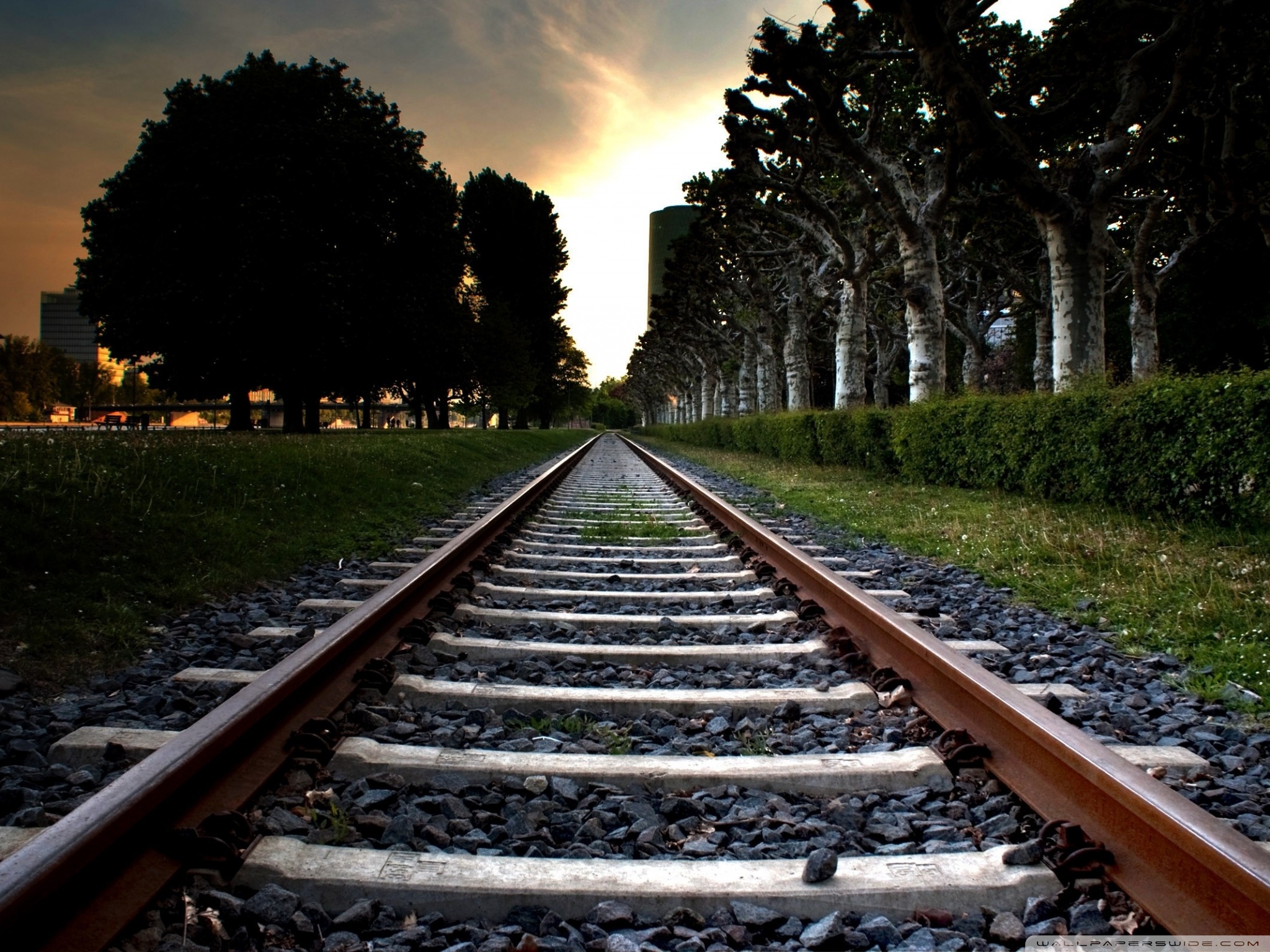 Railroad Track Ultra HD Desktop Background Wallpaper for 4K UHD TV, Multi Display, Dual Monitor, Tablet