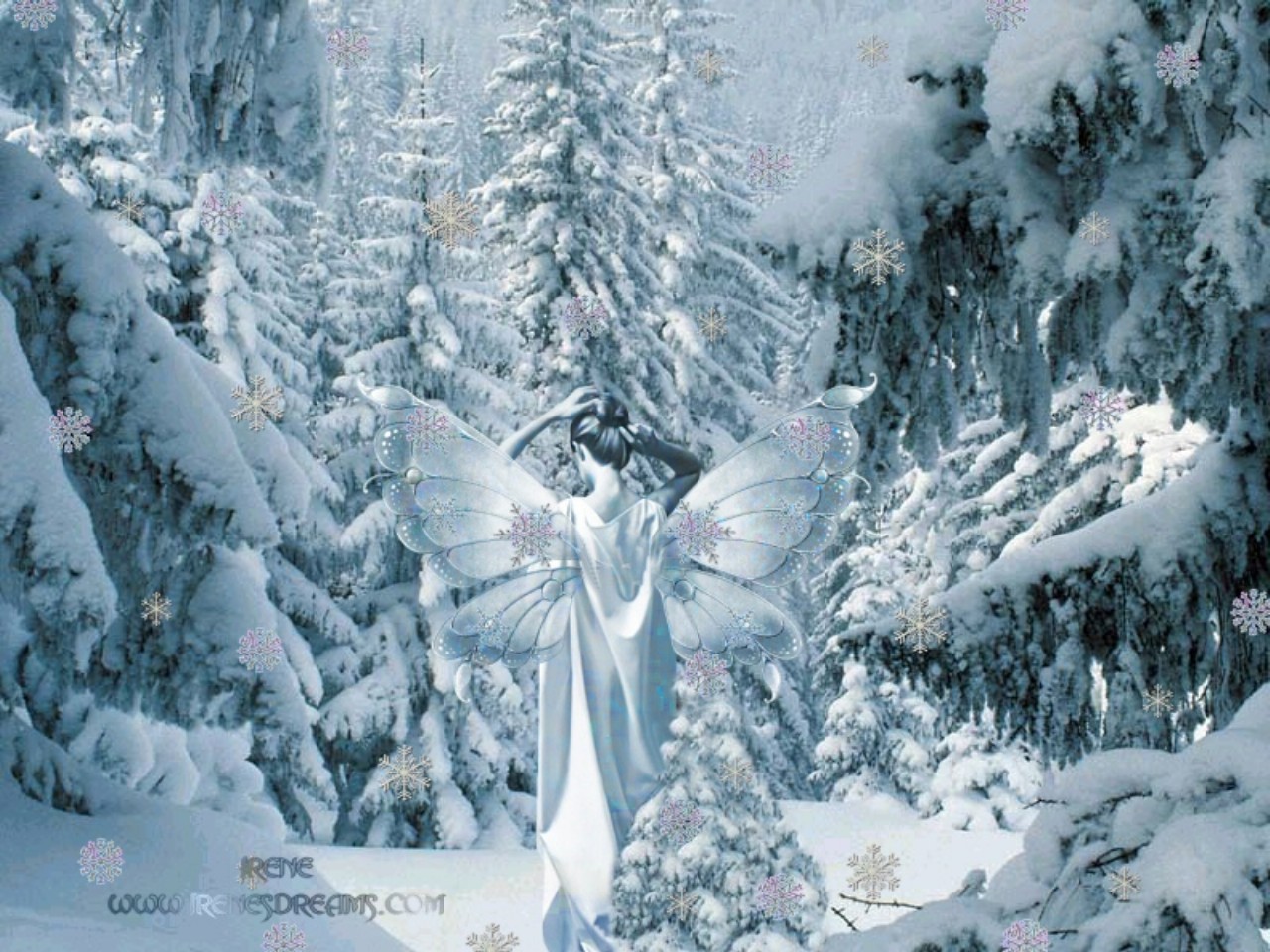 Snow White Fairy Wallpaper Winter Forest Background