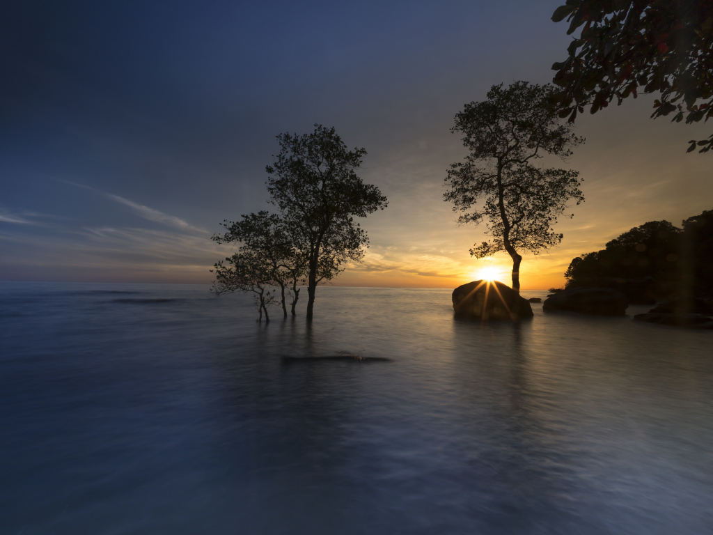 Desktop wallpaper mangrove, trees, sunset, sea, skyline, HD image, picture, background, df8560