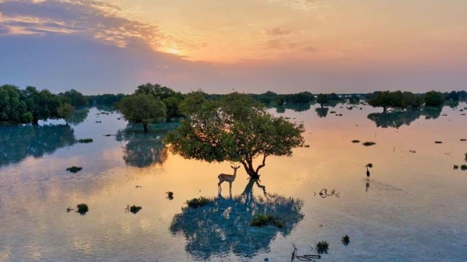 This Eco Art Venture Celebrates The Beauty Of The UAE's Mangroves In The Most Alluring Way. Harper's Bazaar Arabia