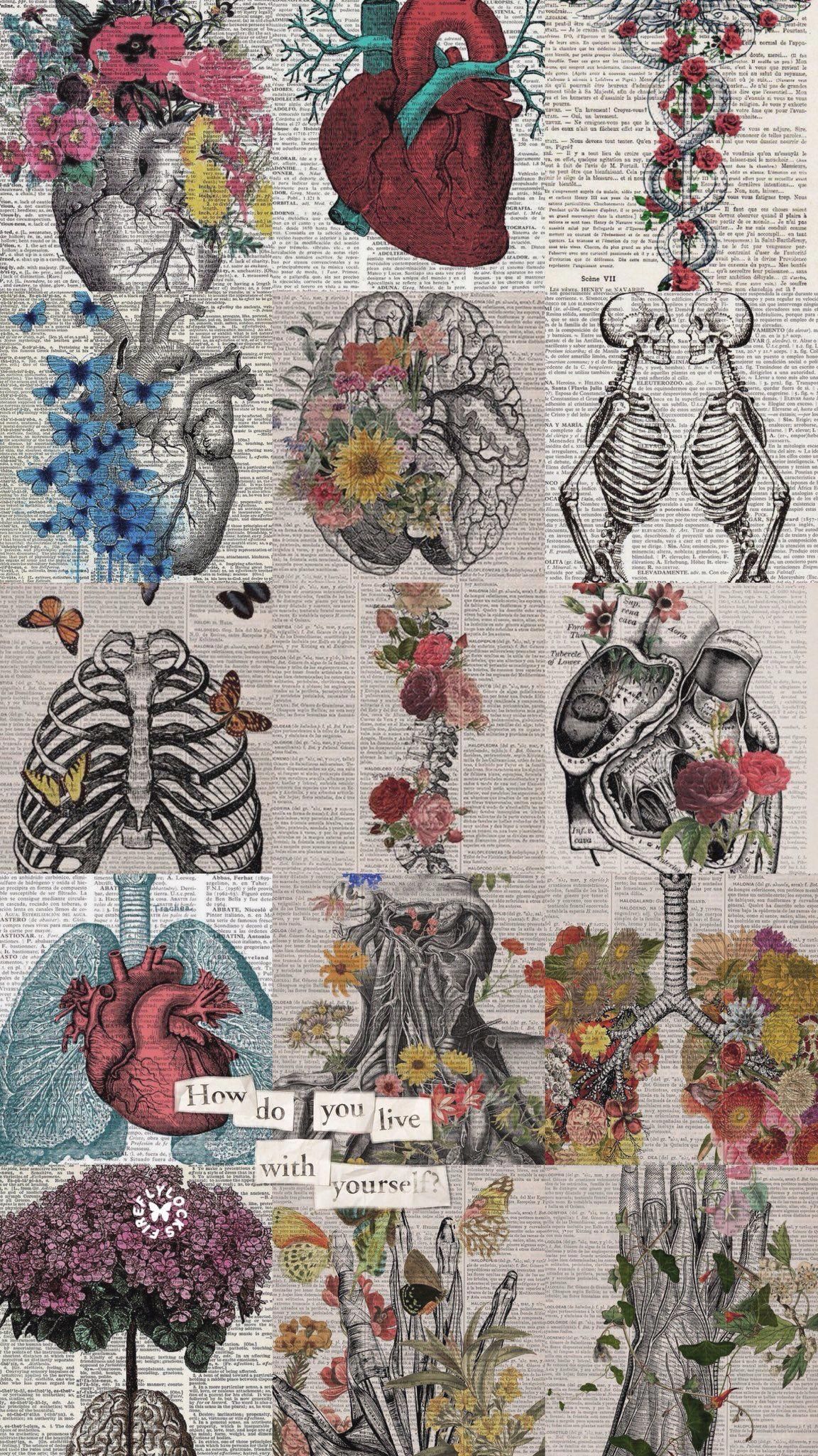 iphonepics. Art wallpaper, Anatomy art, Medical wallpaper