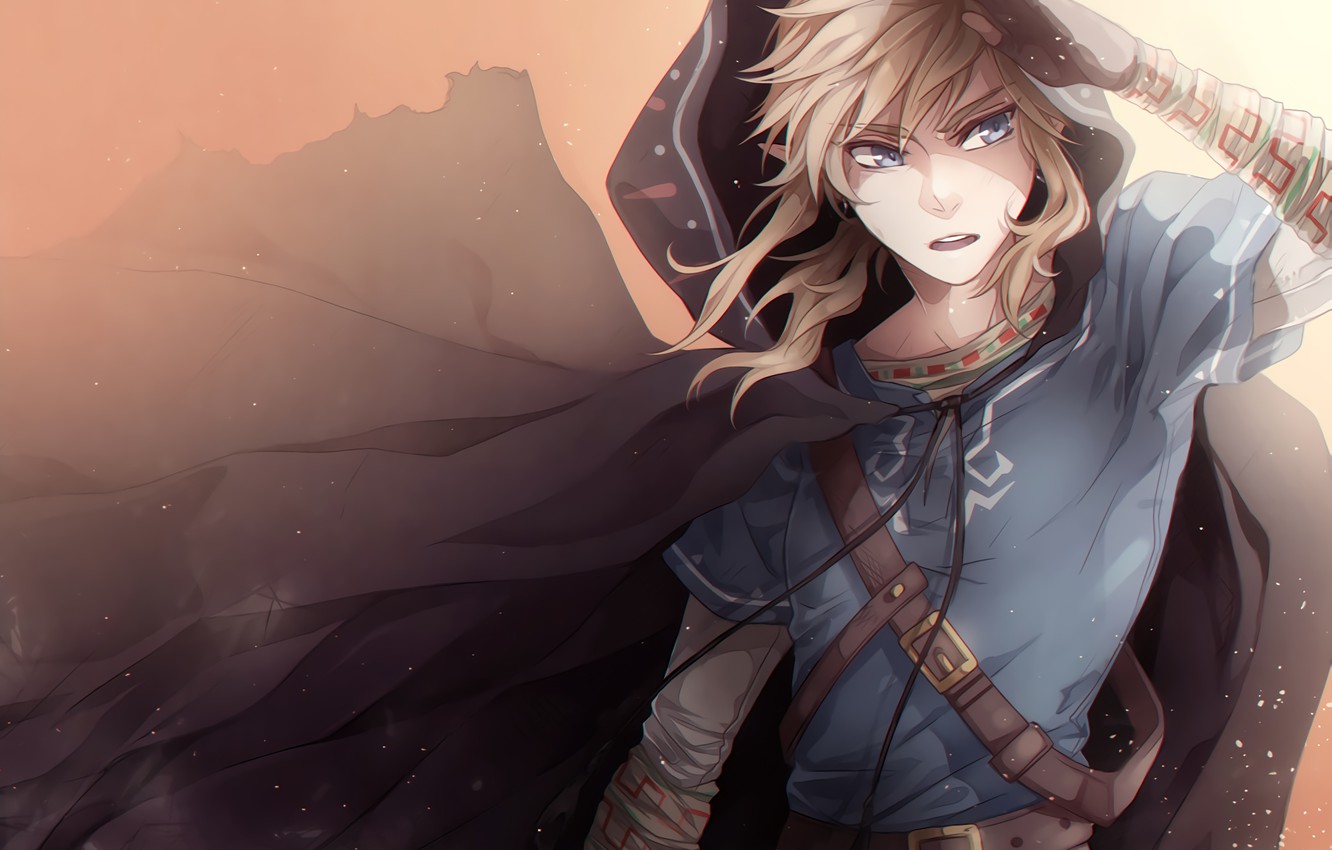 Wallpaper Nintendo, Game, Link, The Legend Of Zelda: Breath Of The Wild image for desktop, section игры
