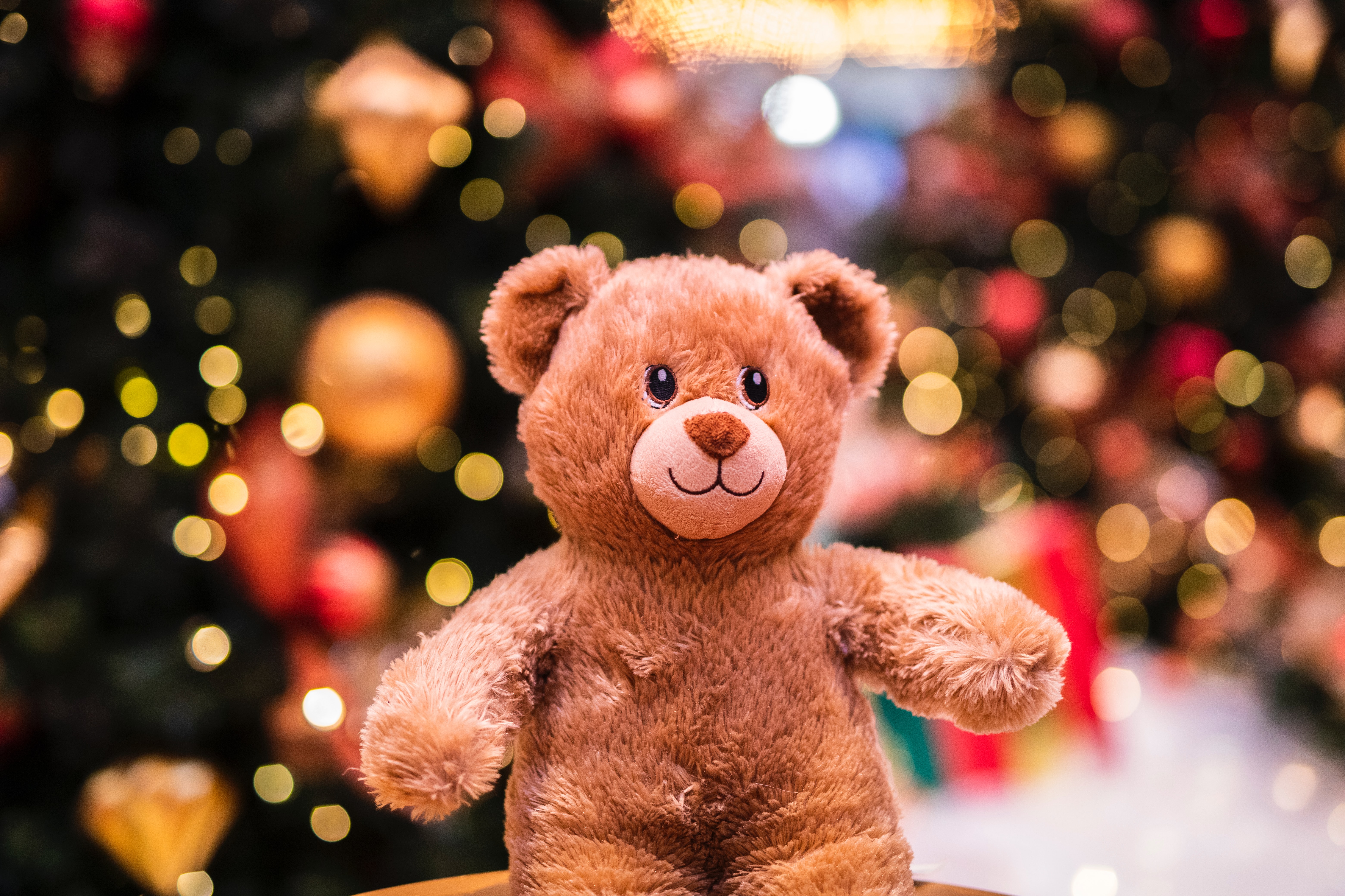 Teddy bear Wallpaper 4K, Cute Christmas, Brown, Bokeh, Lights, Gift, Cute, Cute