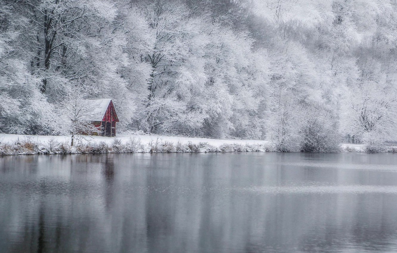 Wallpaper winter, forest, lake, house image for desktop, section природа