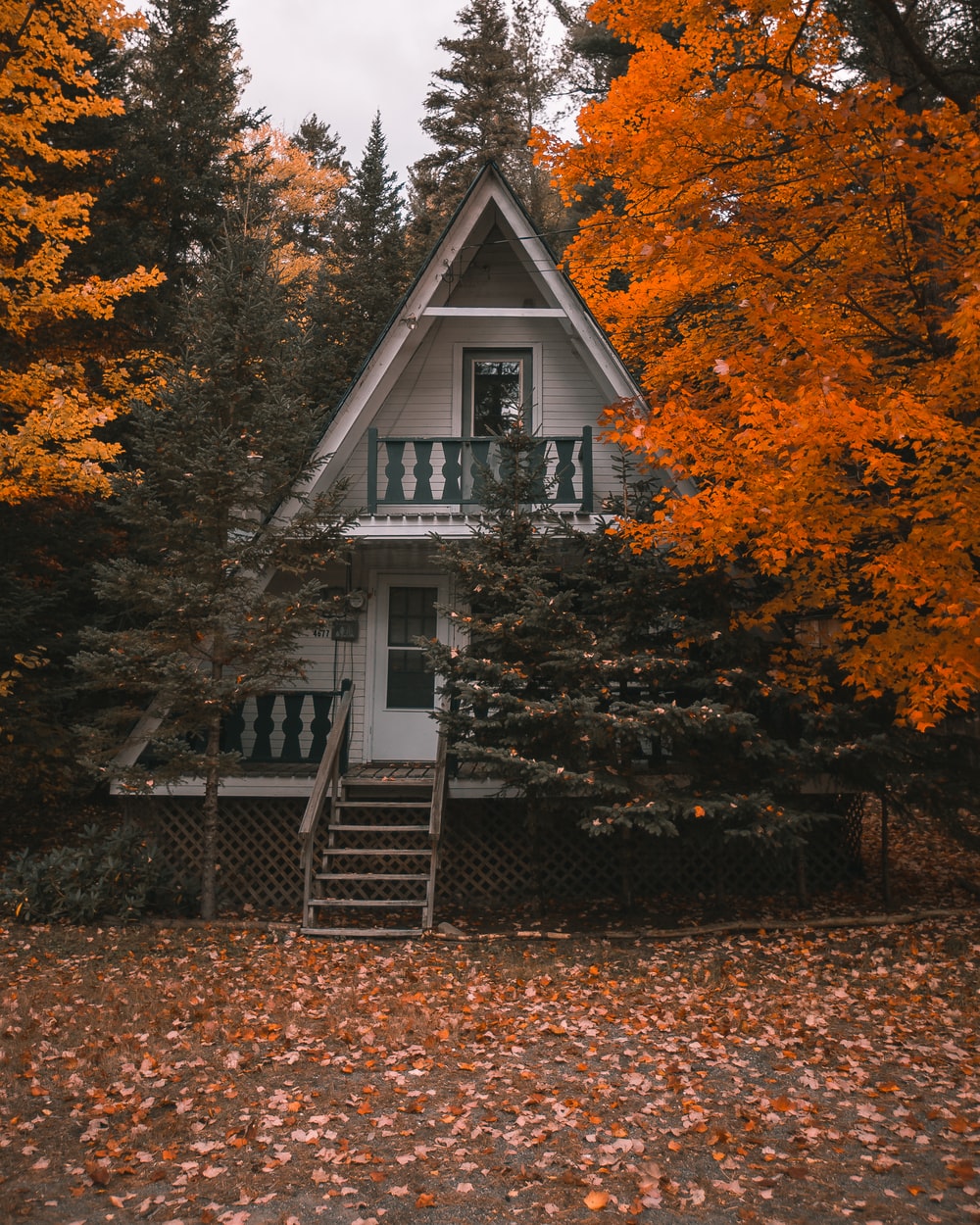 Cozy Cabin Picture. Download Free Image