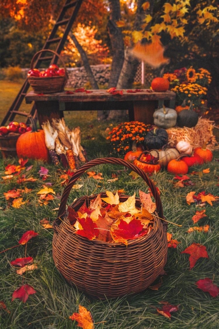 autumn cottage