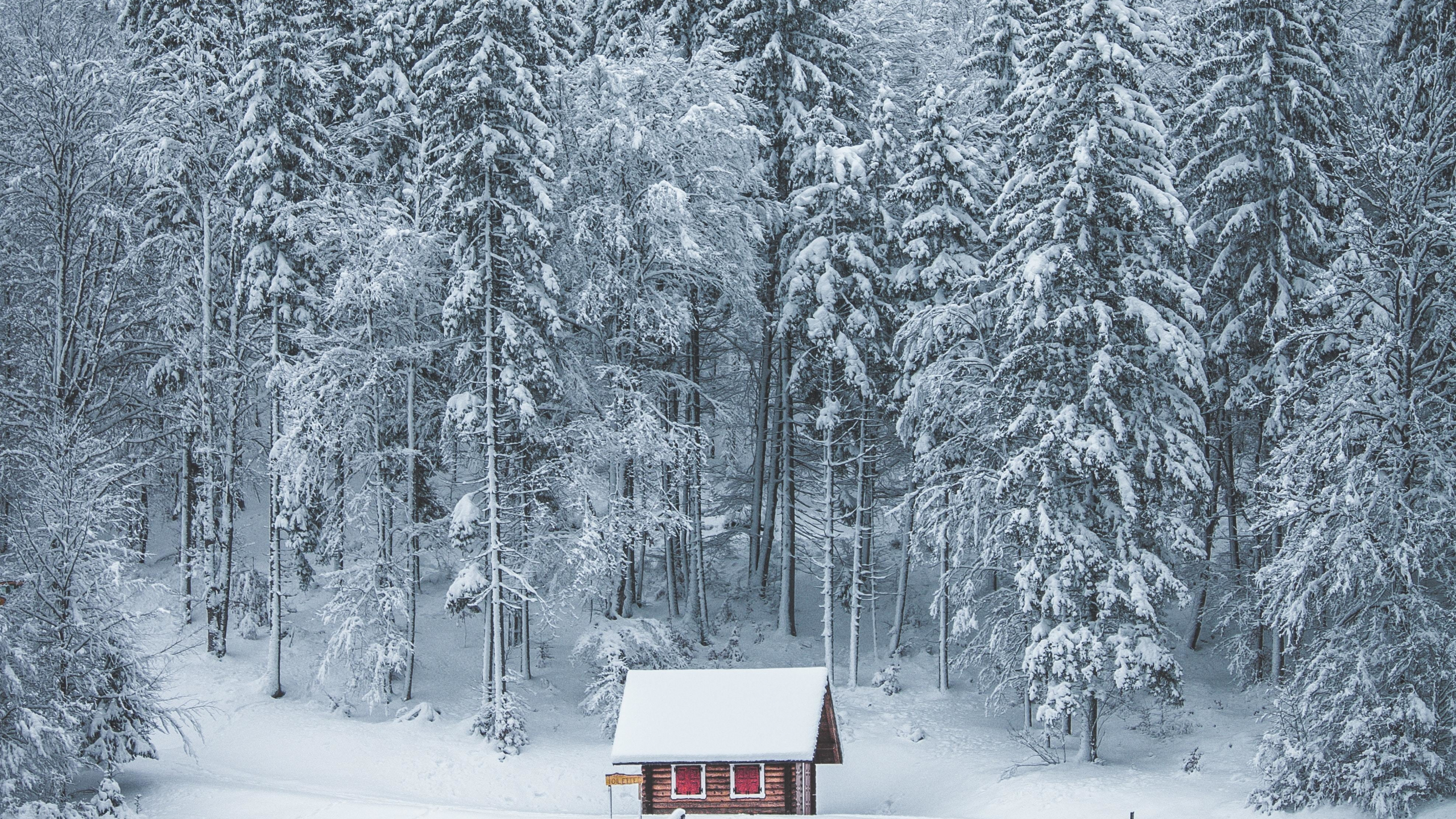 Download 2560x1440 wallpaper winter, house, lake, frozen lake, forest, nature, dual wide, widescreen 16:9, widescreen, 2560x1440 HD image, background, 23636