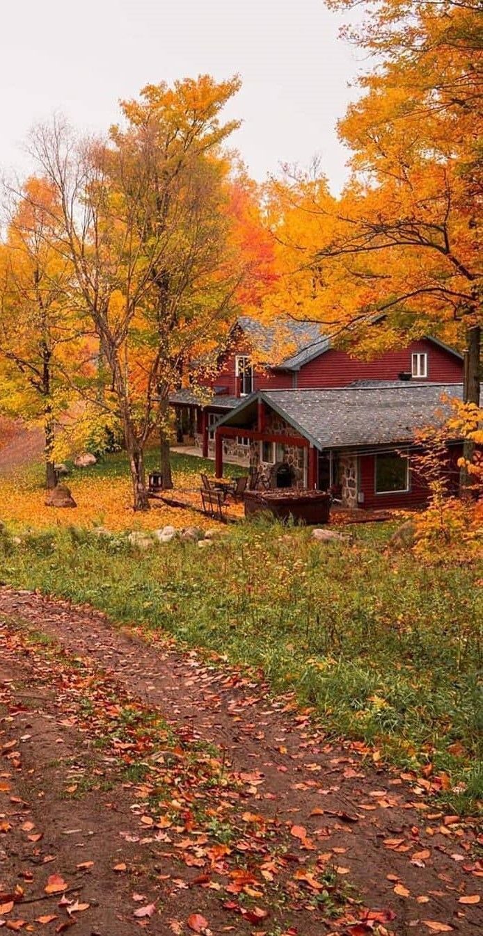 homestead. Autumn scenery, Fall picture, Autumn scenes