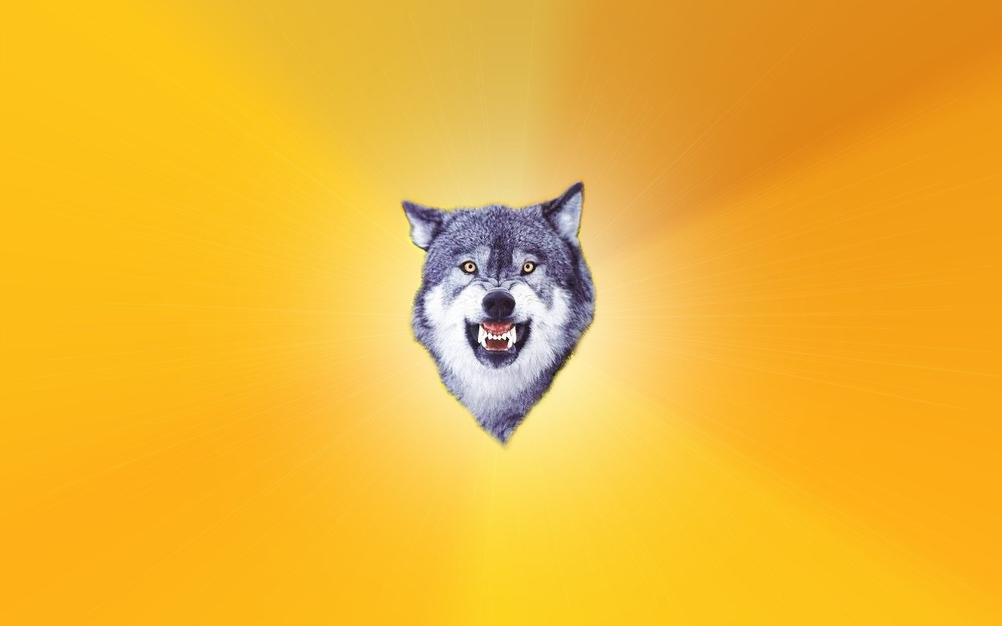 Wolf Wallpaper and Background Imagex900