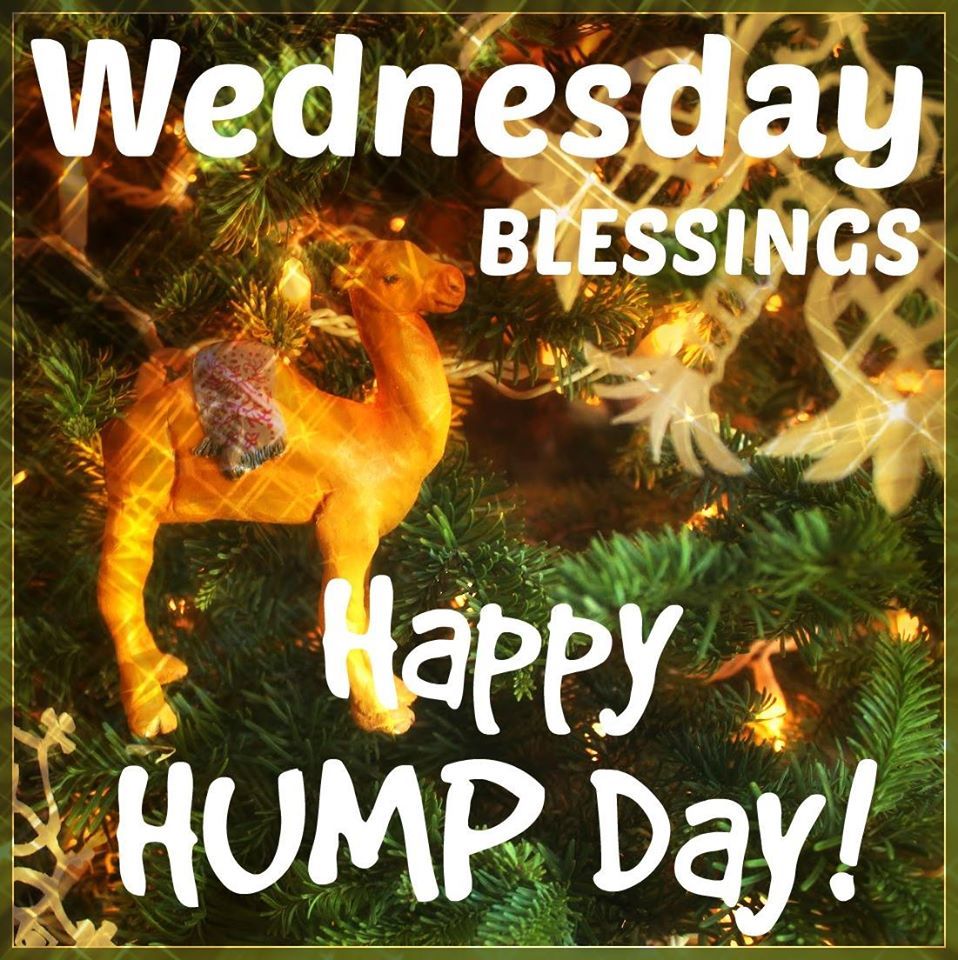 Wednesday Blessings Happy Hump Day Picture, Photo, and Image for Facebook, Tumblr, , and Twitter