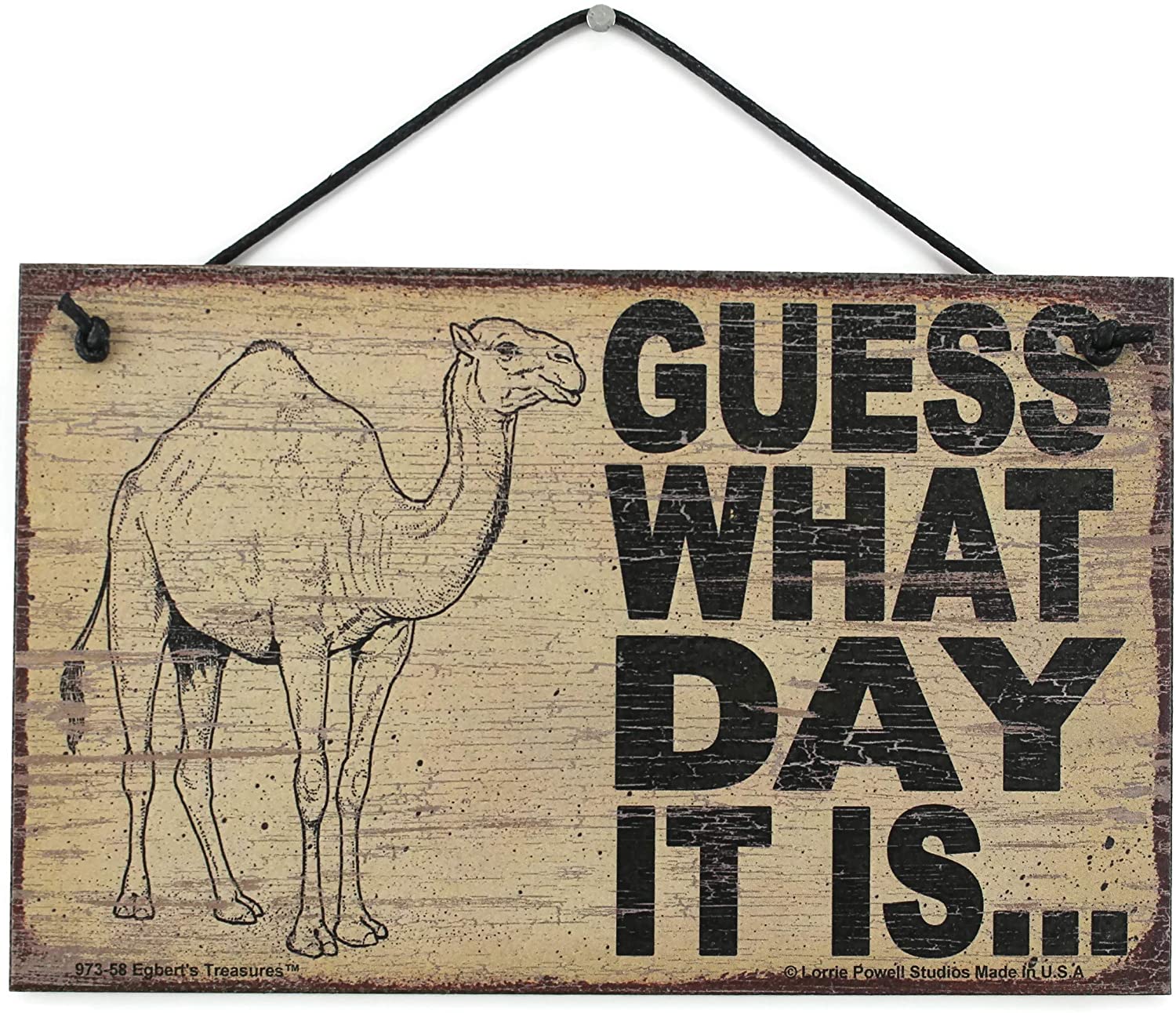 Egbert's Treasures 5x8 Vintage Style Sign Saying, Guess What Day IT is. Camel Hump Day Wednesday Decorative Fun Universal Household Signs from, Home & Kitchen