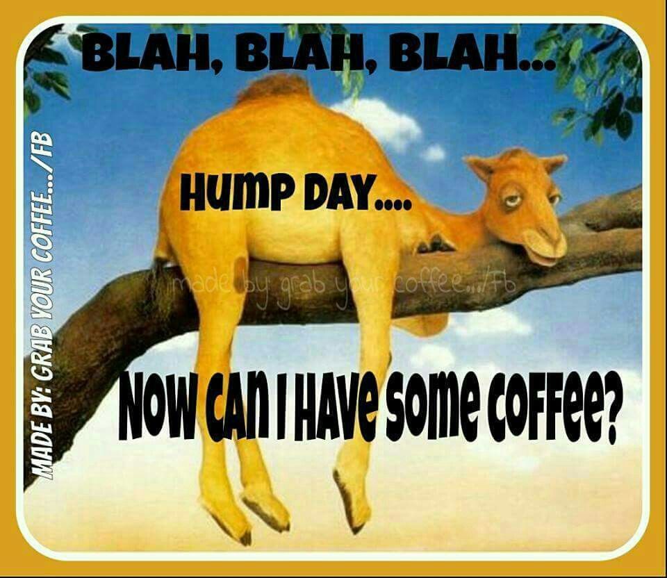 Blah Blah Blah Hump Day Can I Have Coffee. Wednesday hump day, Funny good morning quotes, Good morning wednesday
